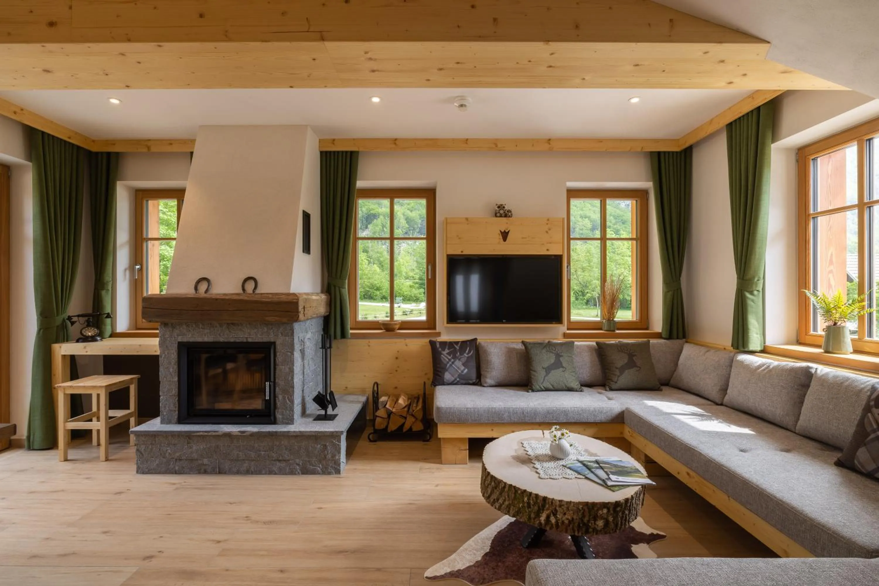 TV and multimedia in PRIVILLAGE Stare - B&B