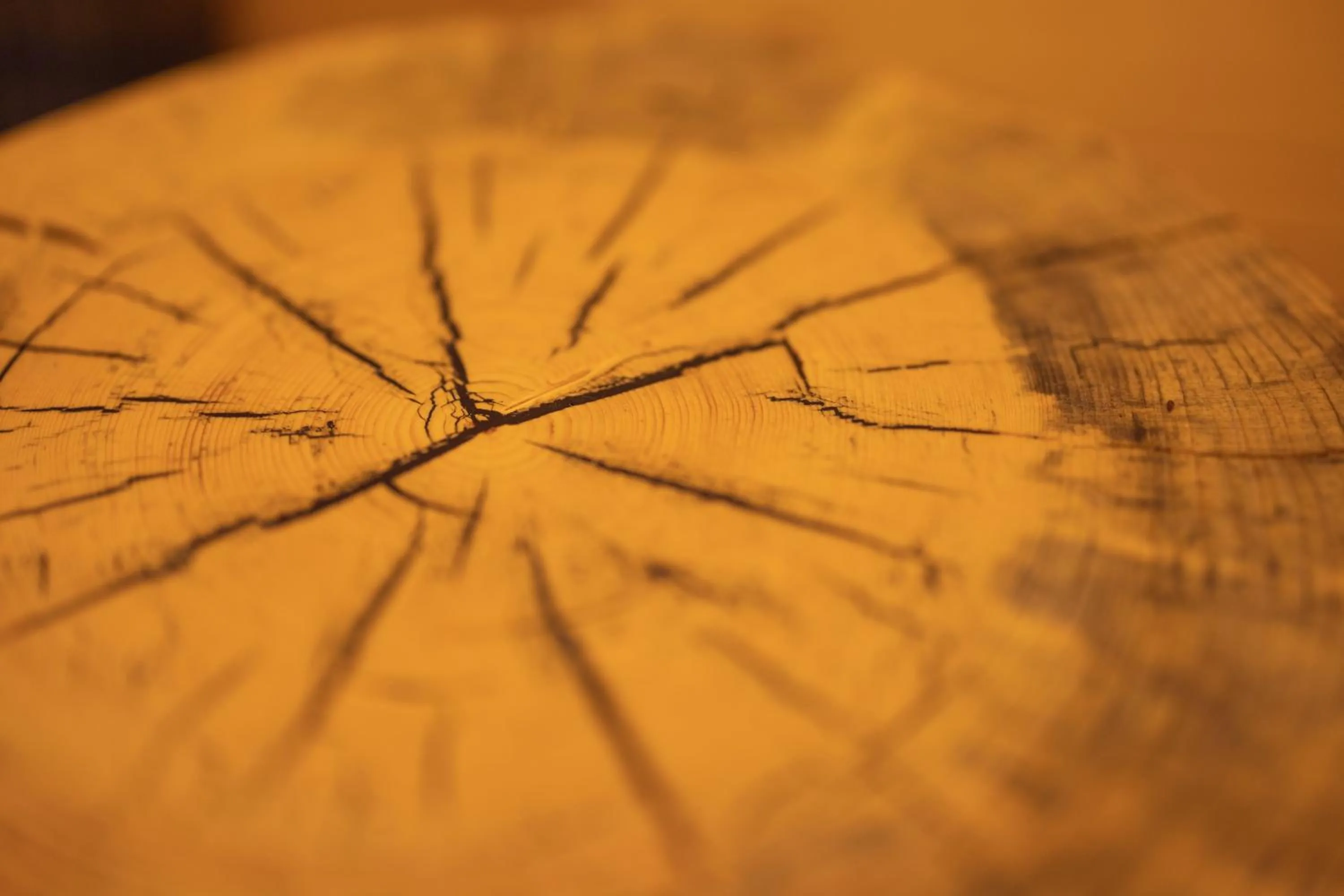 Decorative detail in PRIVILLAGE Stare - B&B