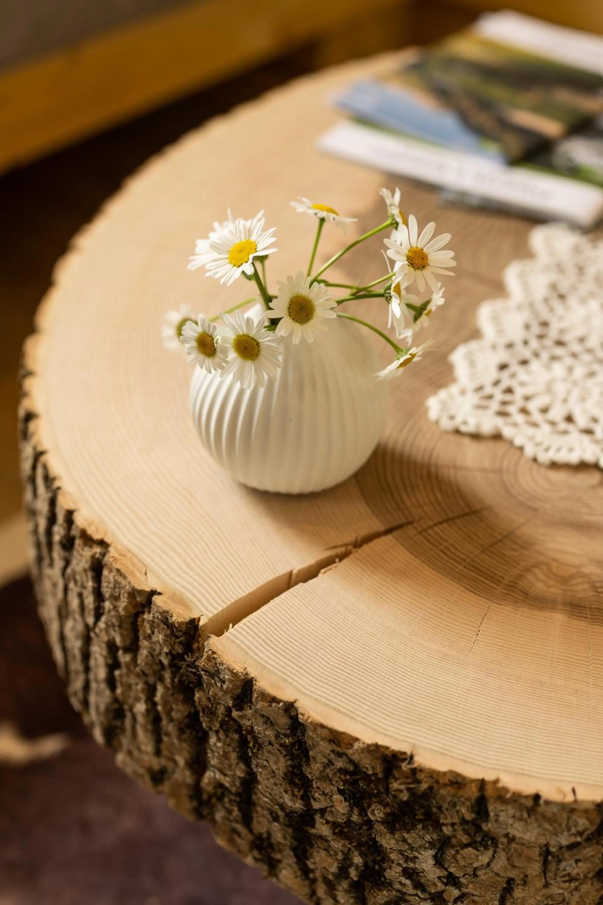 Decorative detail in PRIVILLAGE Stare - B&B