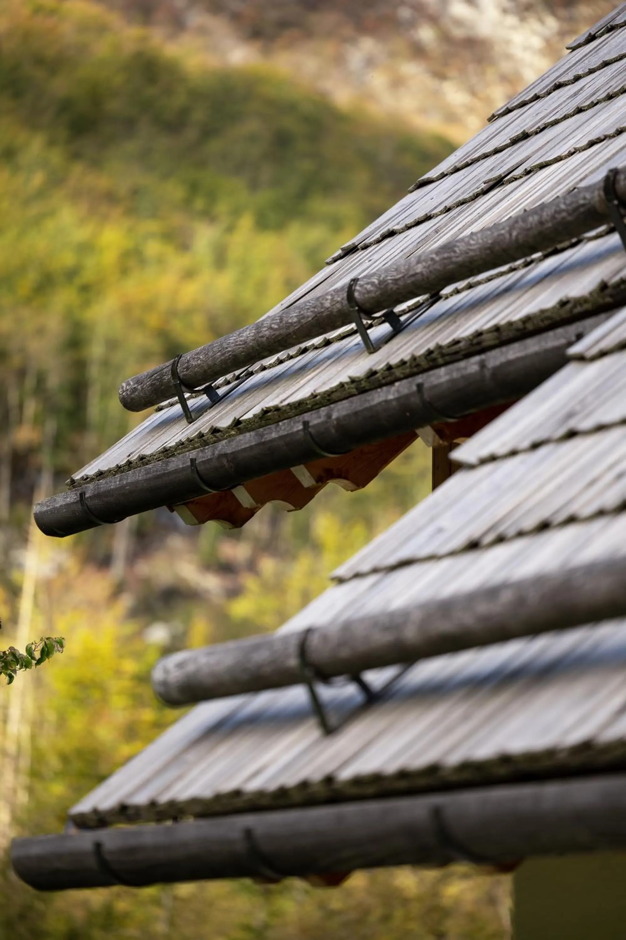 Natural landscape in PRIVILLAGE Stare - B&B