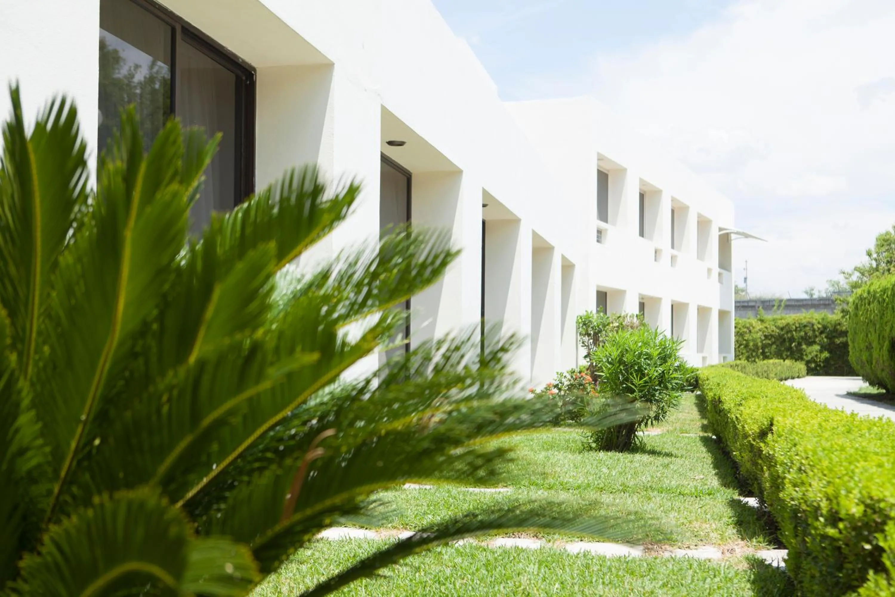 Garden in Hotel Paradise Inn