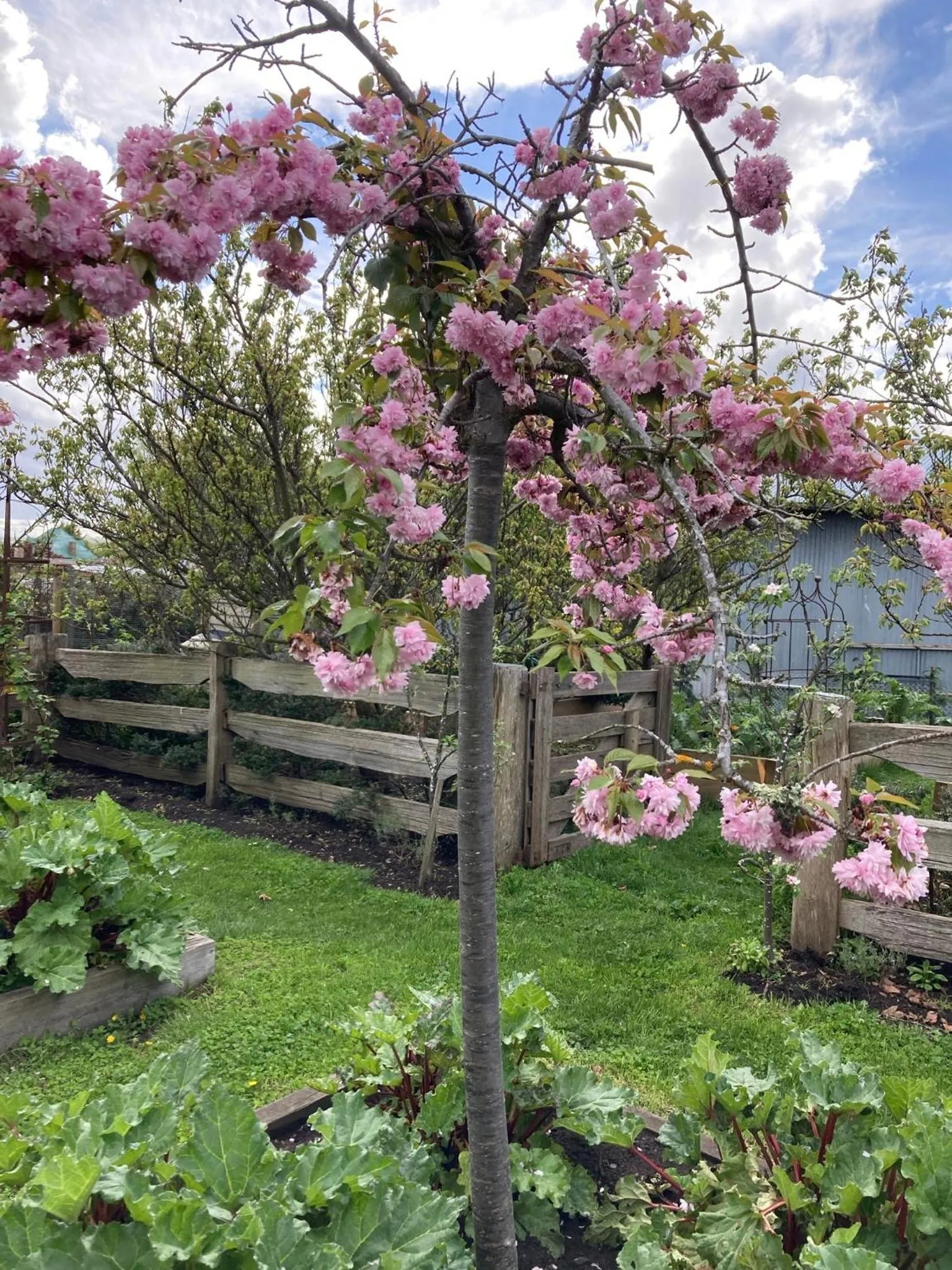 Spring in Elm Cottage Barn