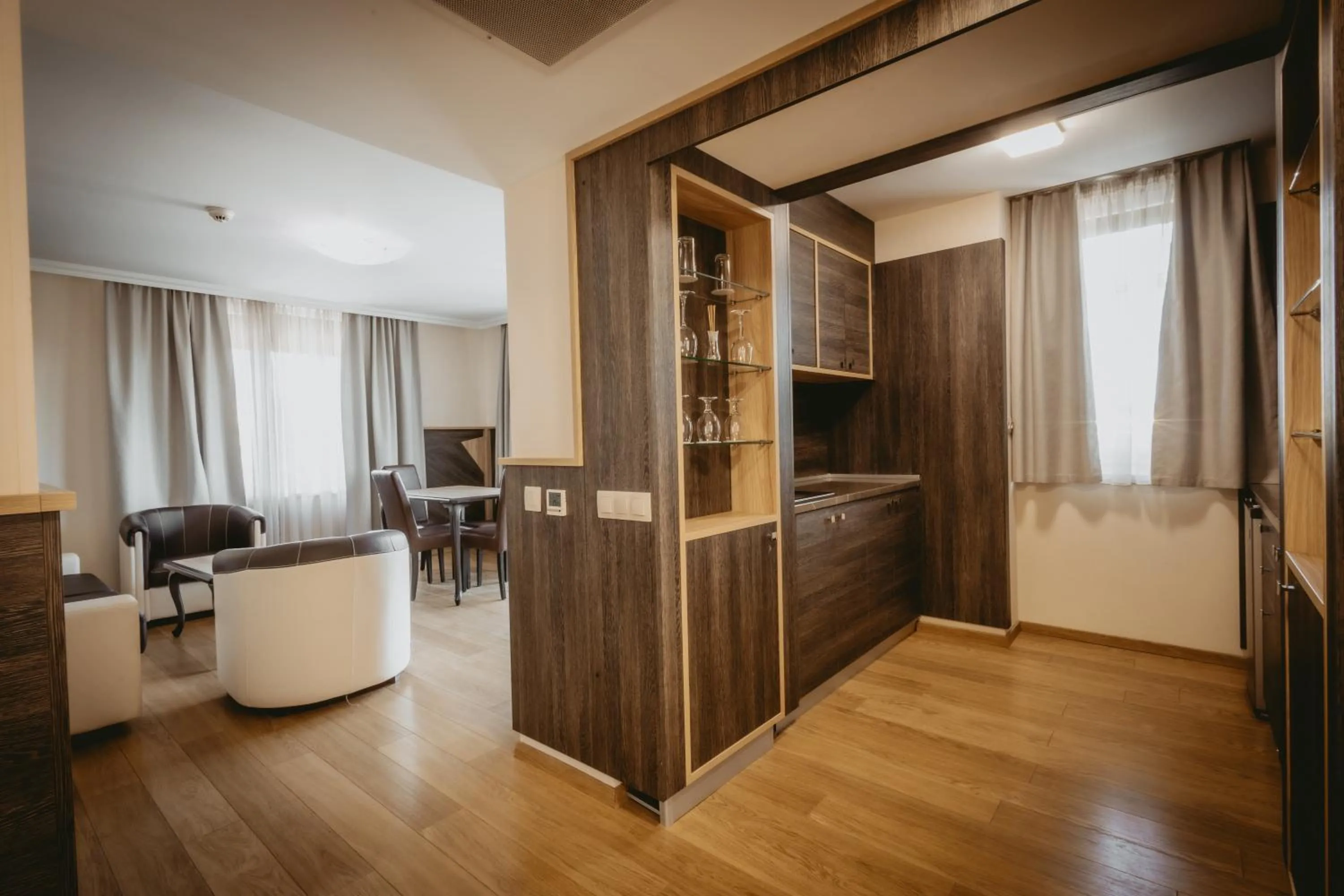 Kitchen or kitchenette in Hotel ZOO Sofia