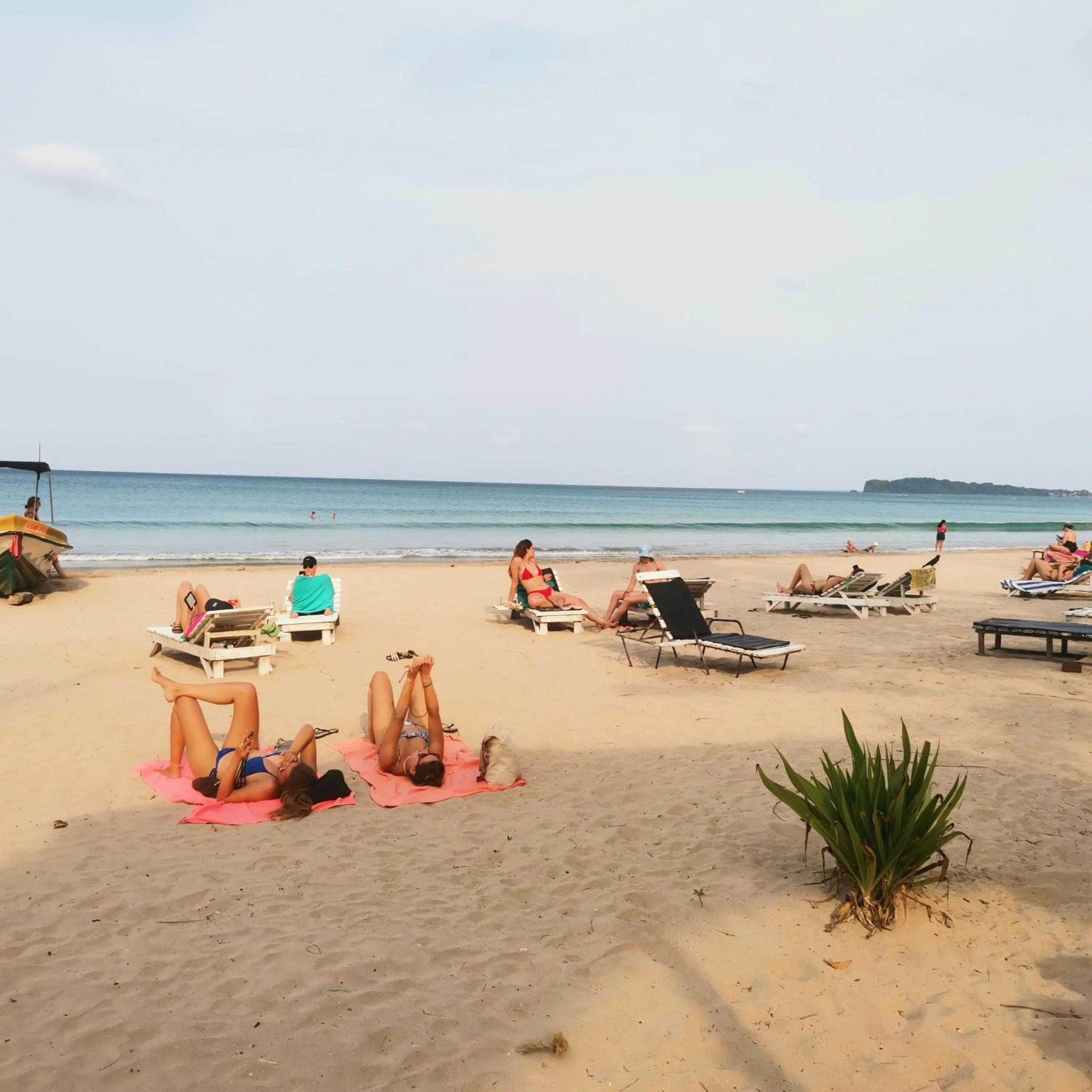 Surf reef beach