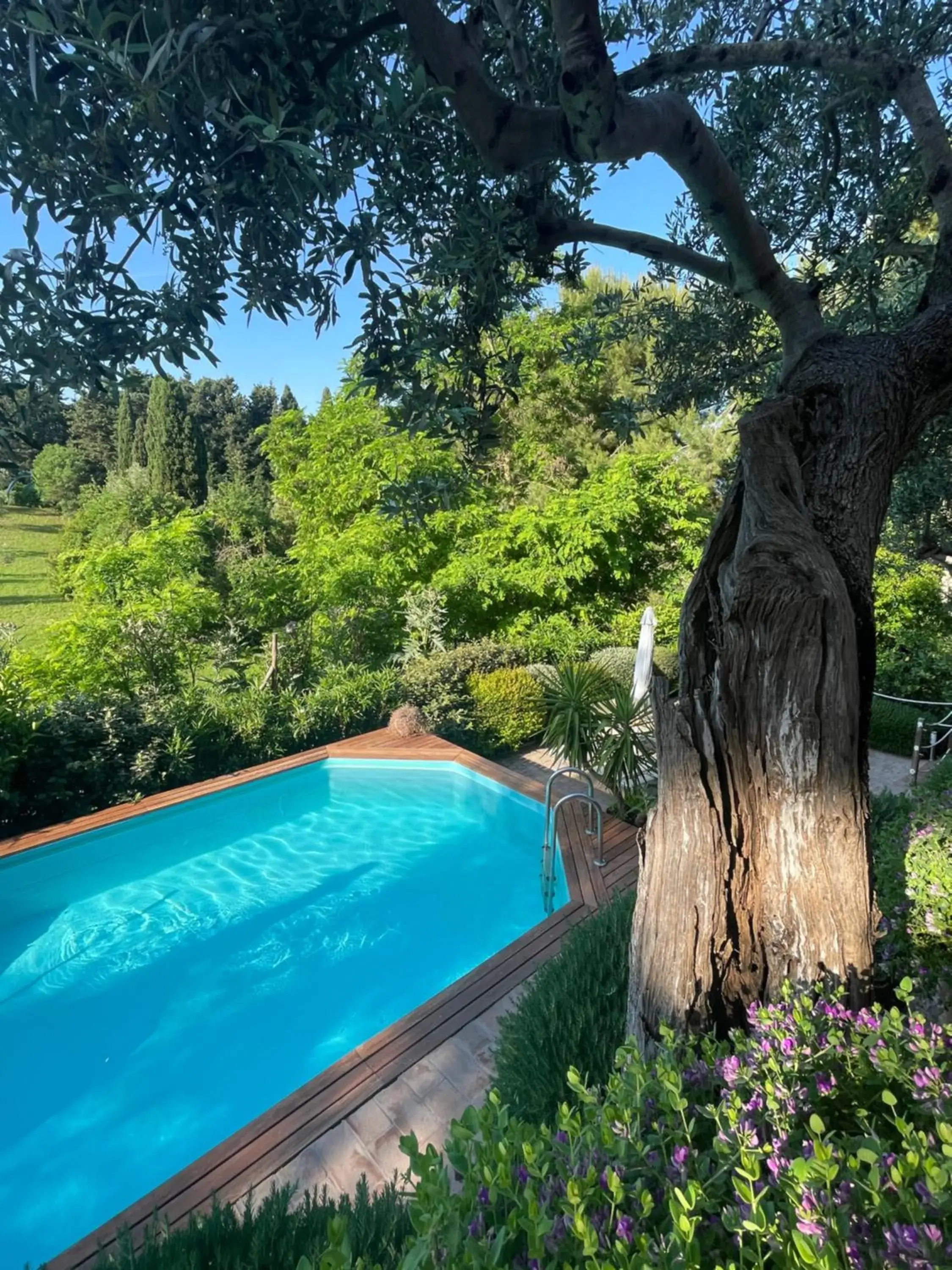 Amore a prima vista b&b Amore a prima vista b&b