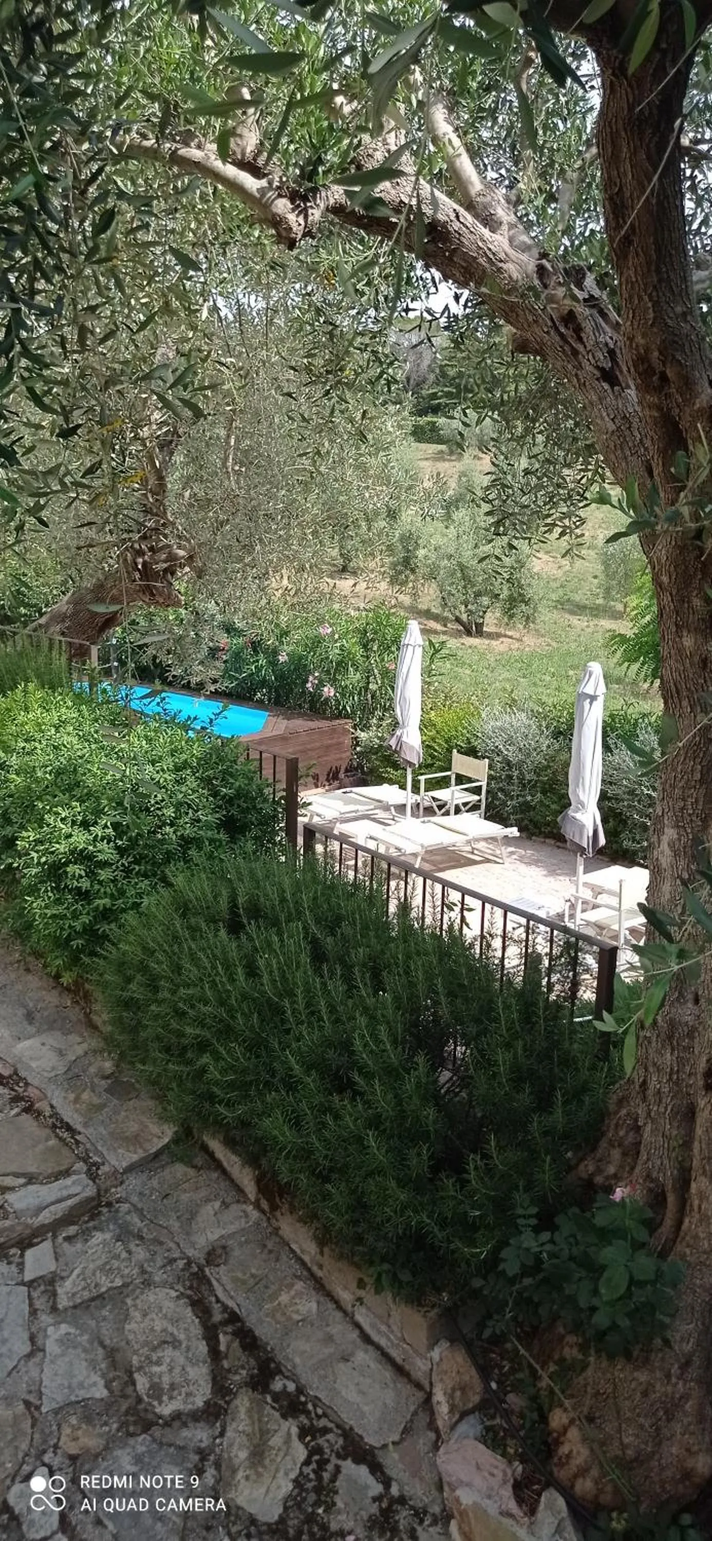 Amore a prima vista b&b
