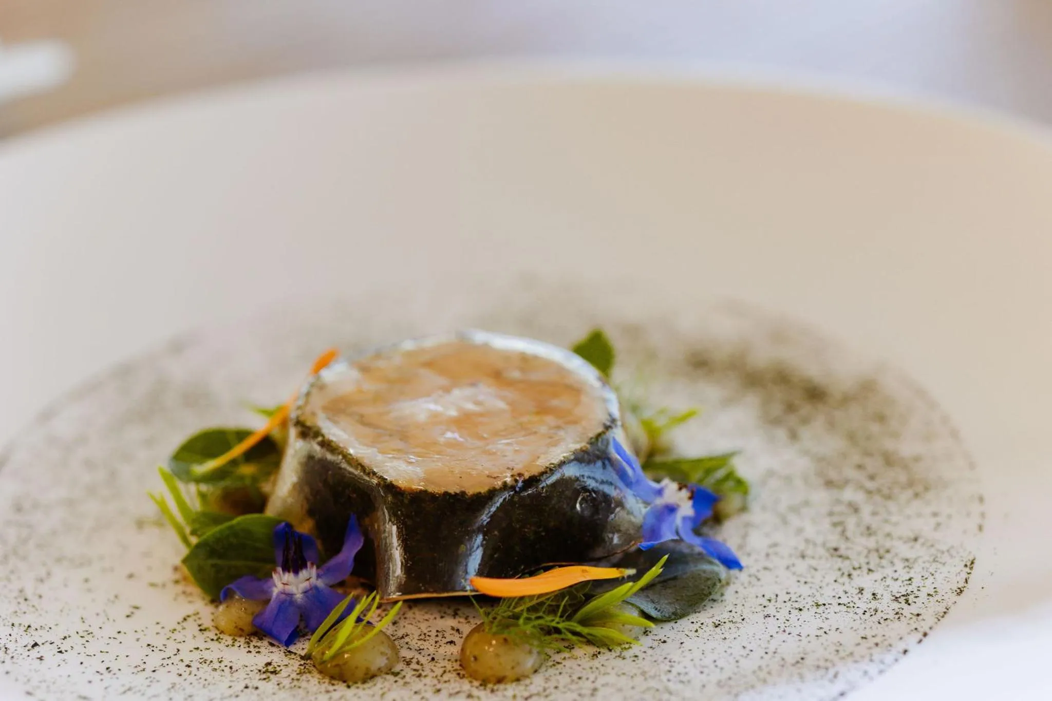 Restaurant/places to eat in Hôtel & Spa Le Grand Large