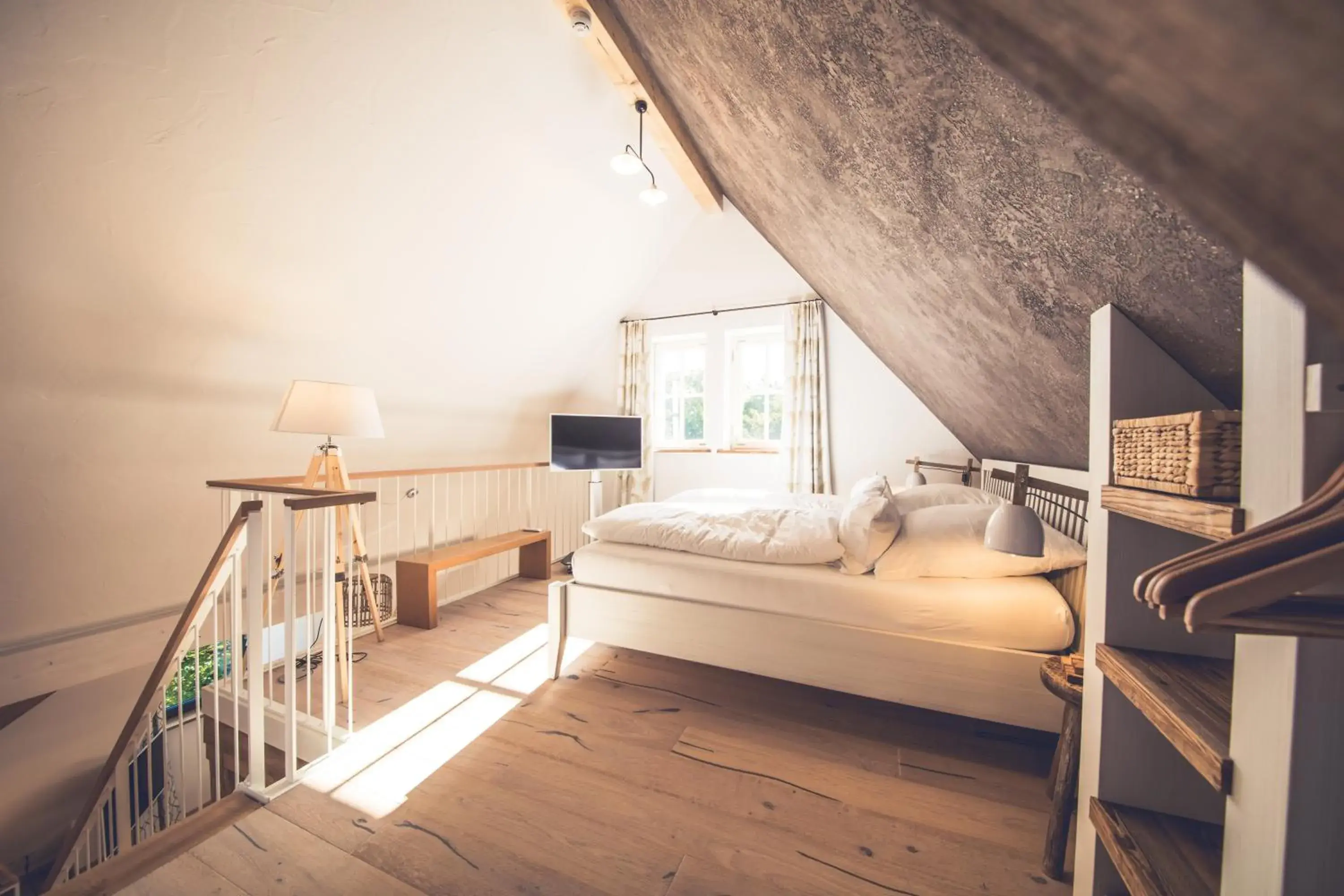 Deluxe Studio in die Säge Deluxe Studio in die Säge