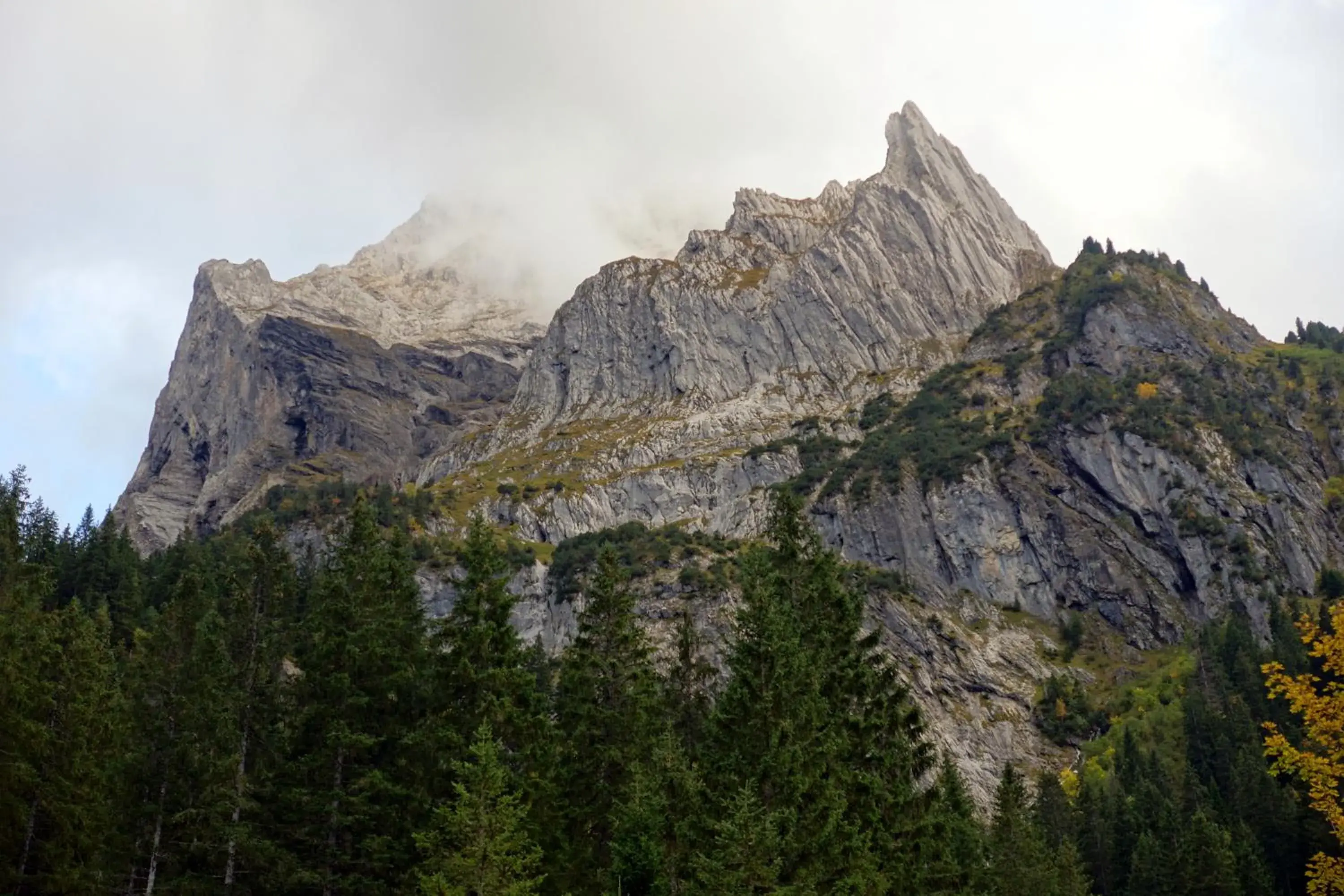 Quadruple Room in Alpenrose Quadruple Room in Alpenrose