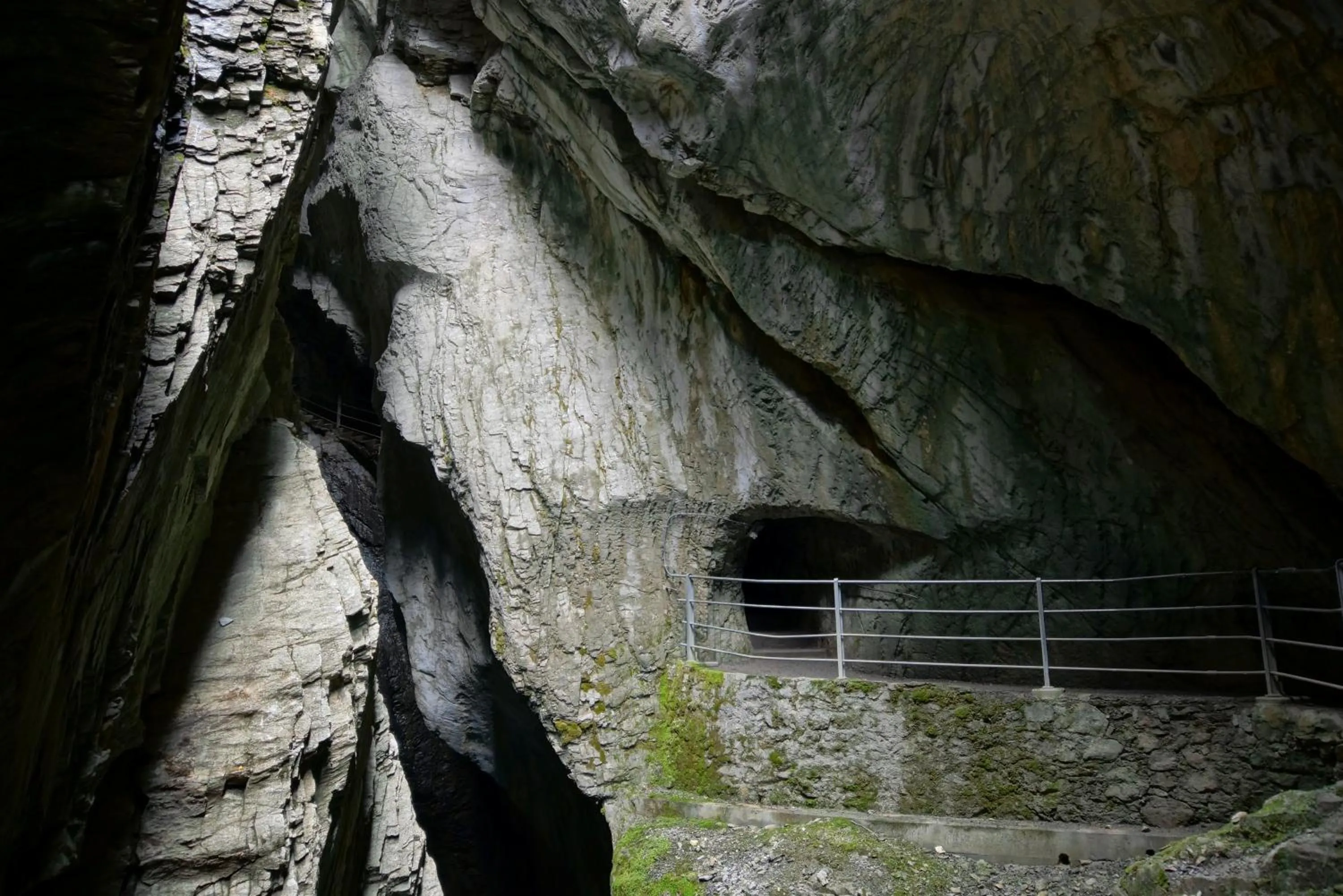 Natural landscape in Alpenrose