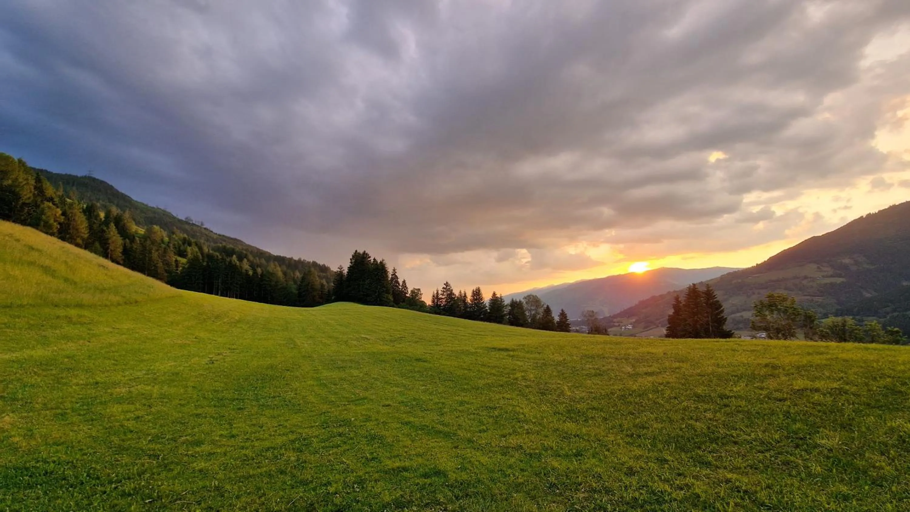 View (from property/room) in Ferienhof Oberreit