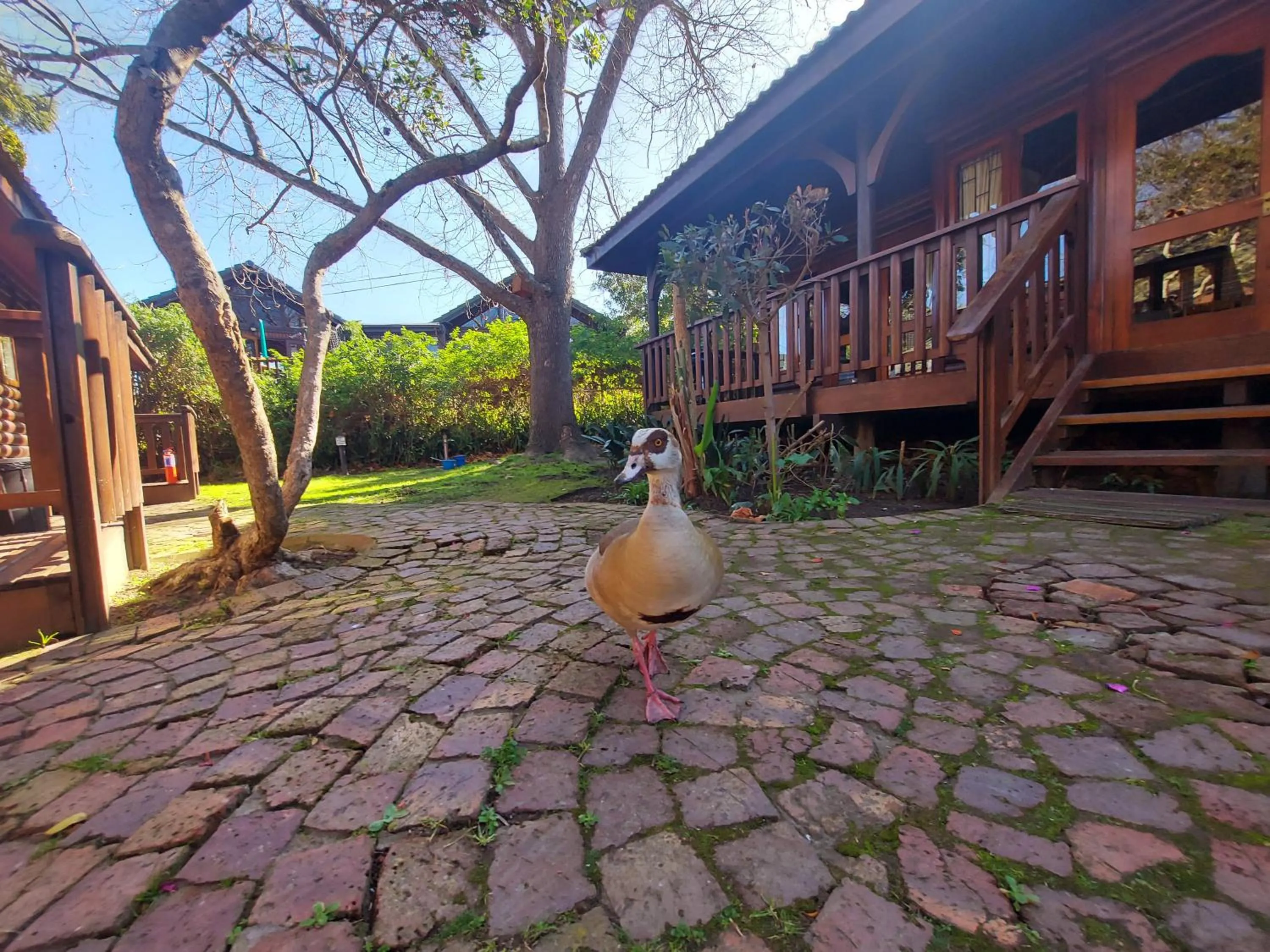 Garden in Knysna River Club by First Private Stays