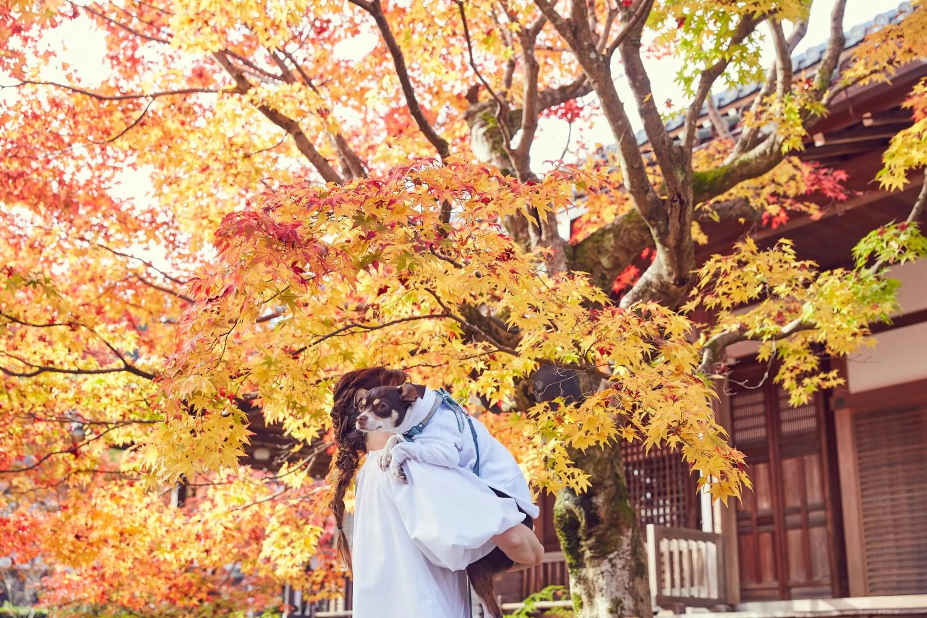 Nearby landmark in Riverside Arashiyama