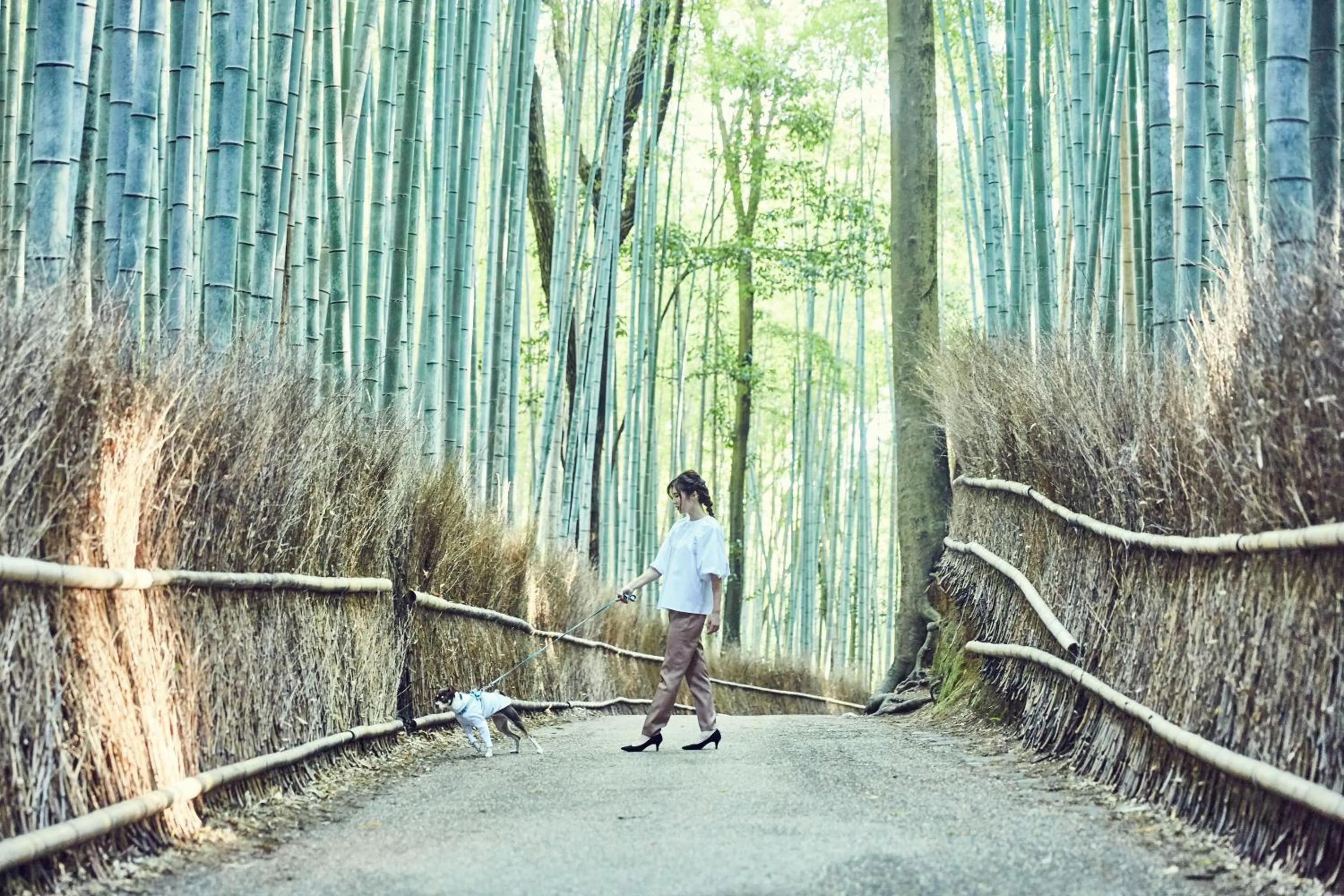 Nearby landmark in Riverside Arashiyama
