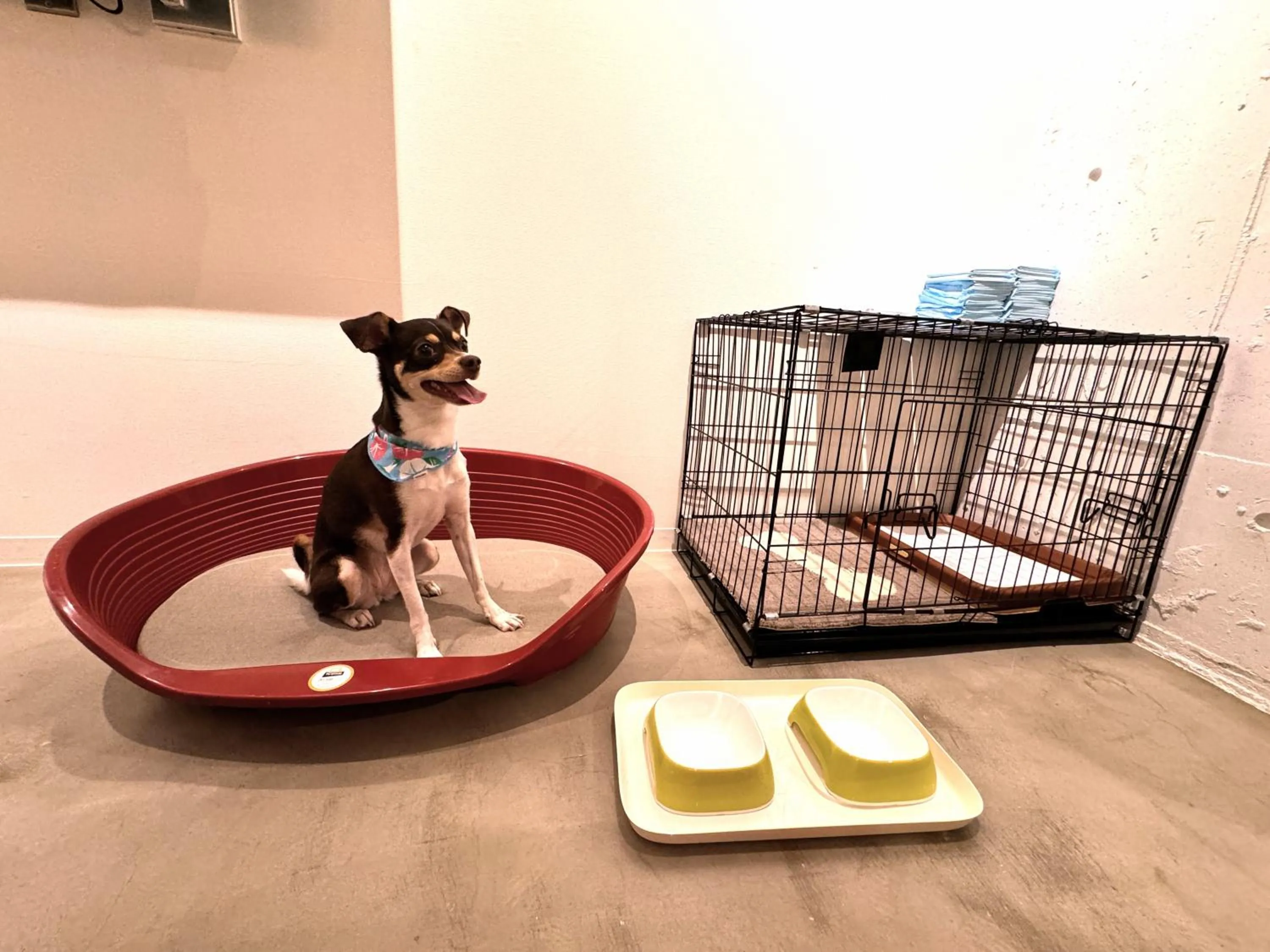 pet friendly in Riverside Arashiyama