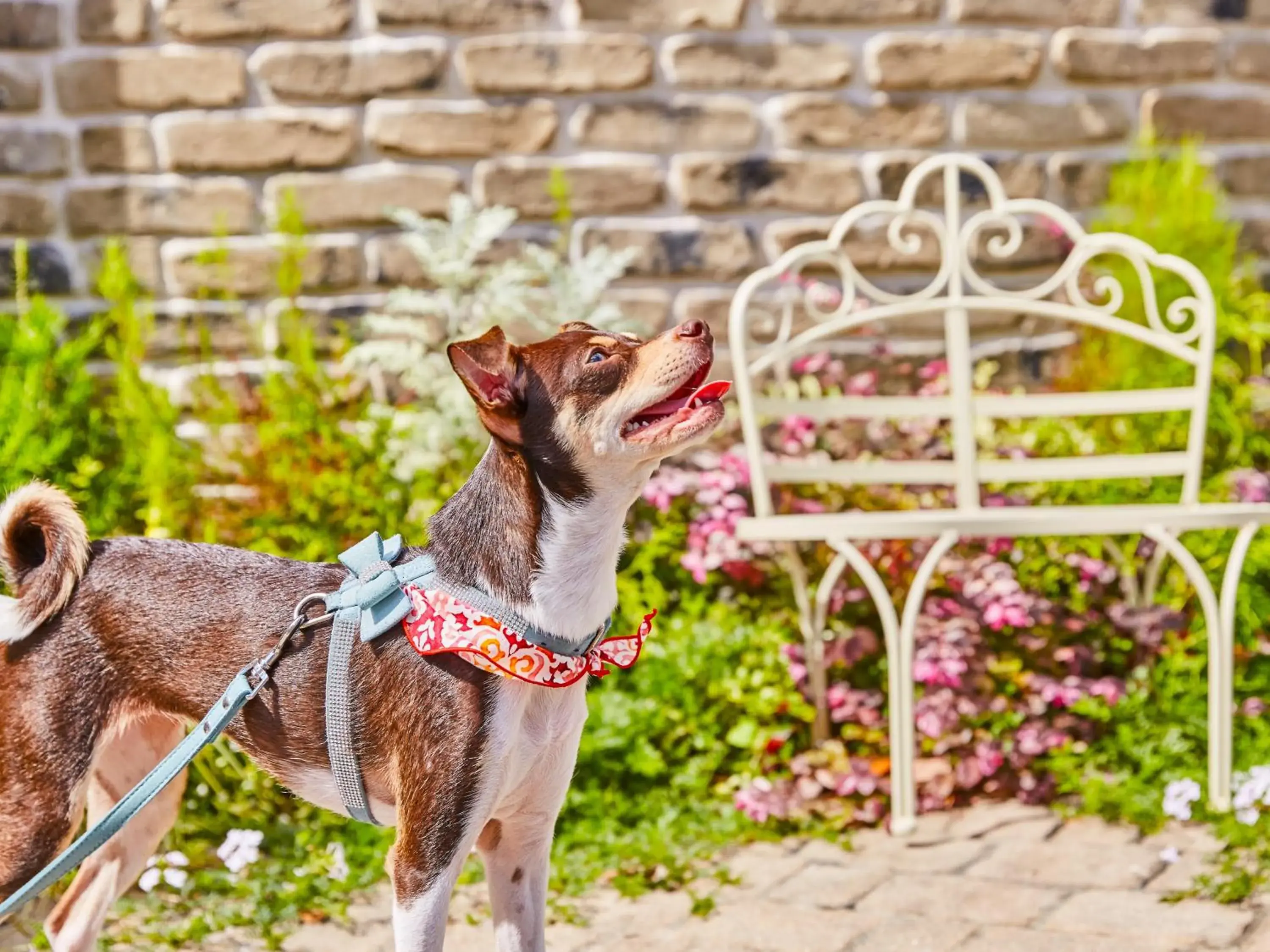 Property building in Riverside Arashiyama Property building in Riverside Arashiyama