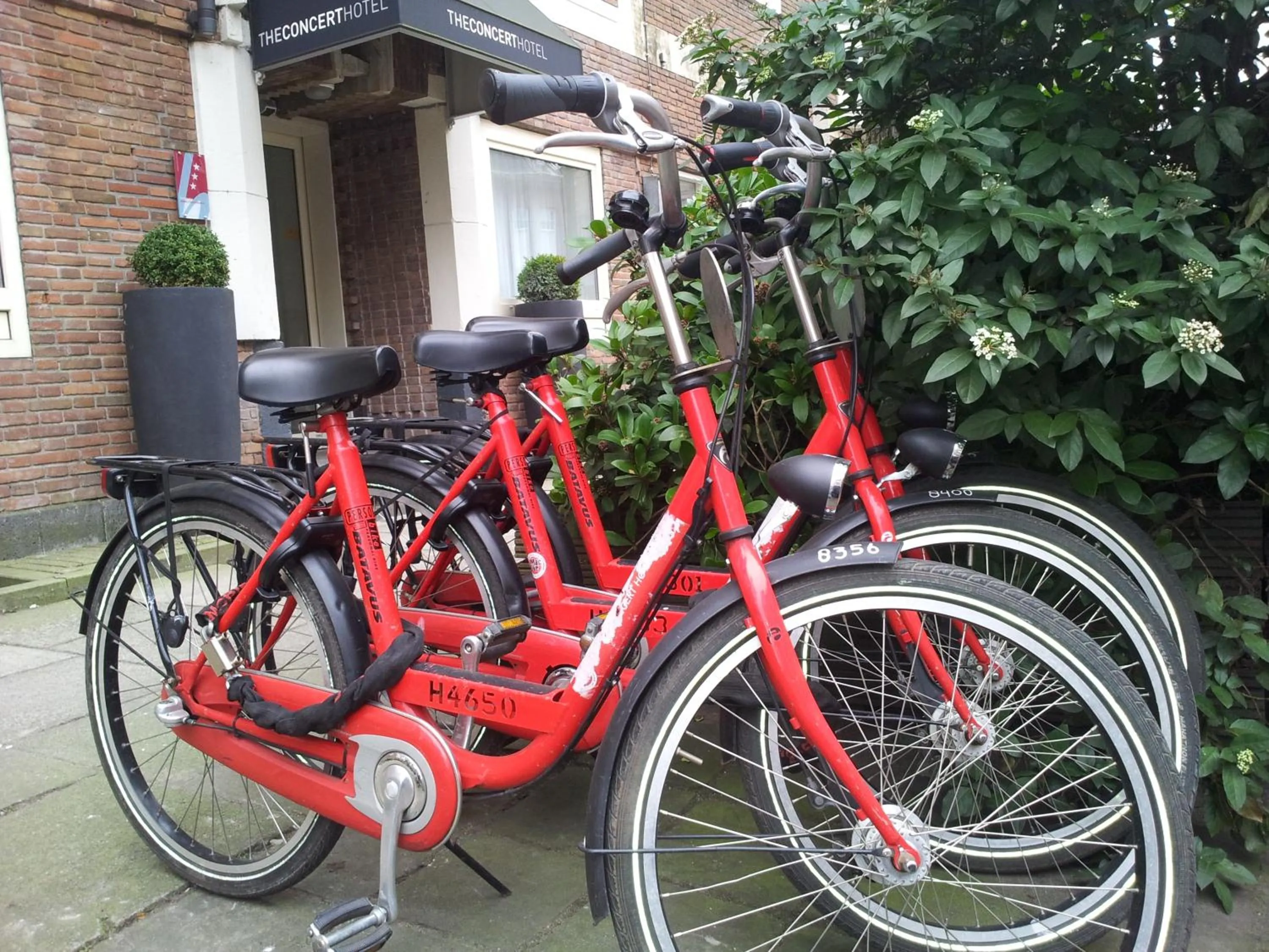 Other in The Concert Hotel