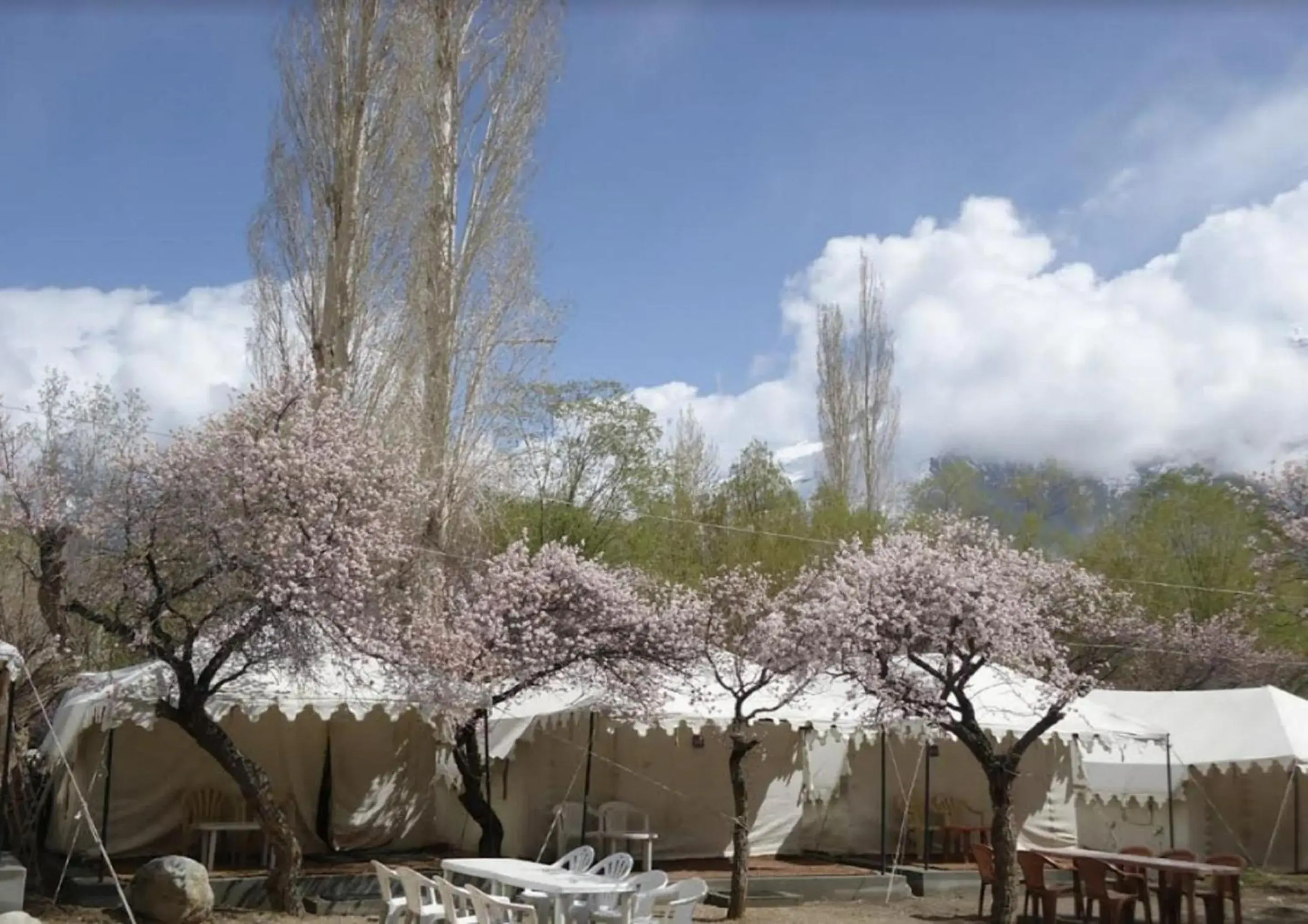 Royal Deluxe Camp & Resort, Hunder- Nubra Royal Deluxe Camp & Resort, Hunder- Nubra