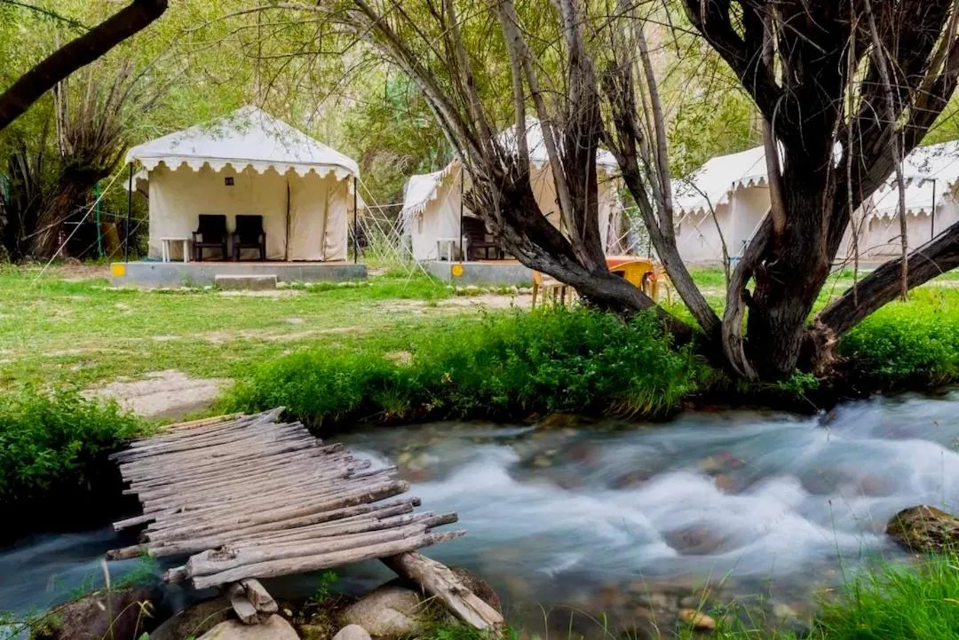 Royal Deluxe Camp & Resort, Hunder- Nubra