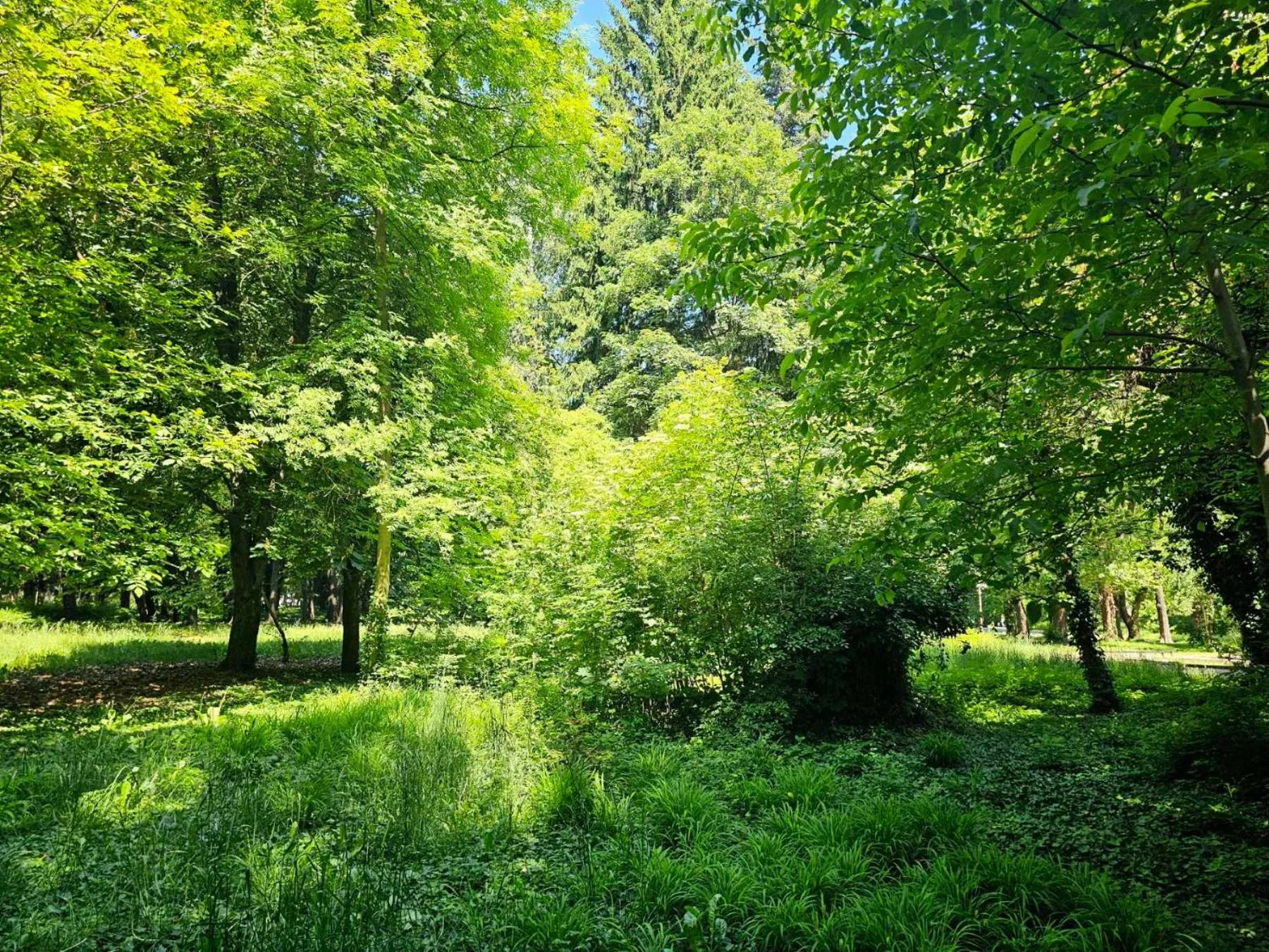 Day in Gardenia Park Hotel