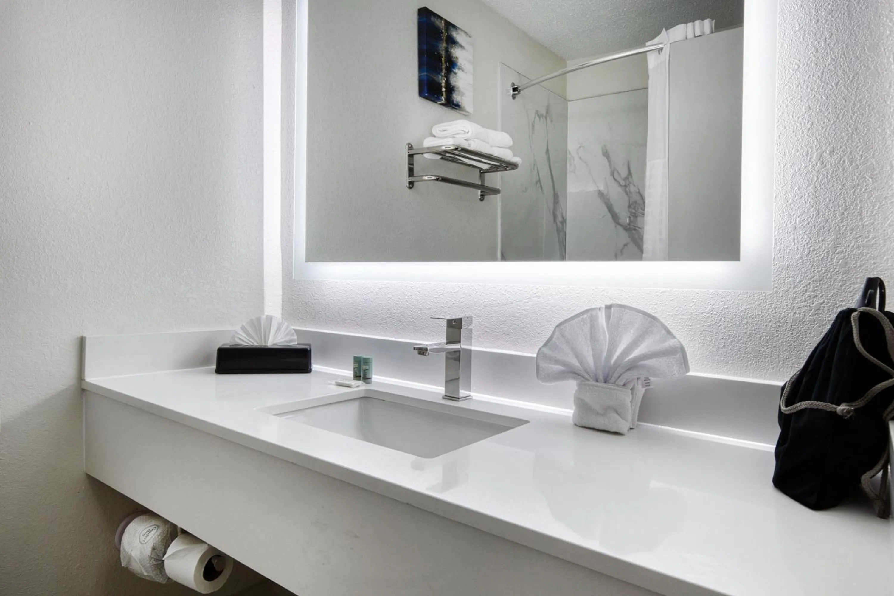 Bathroom in Best Western Greensboro Coliseum Inn