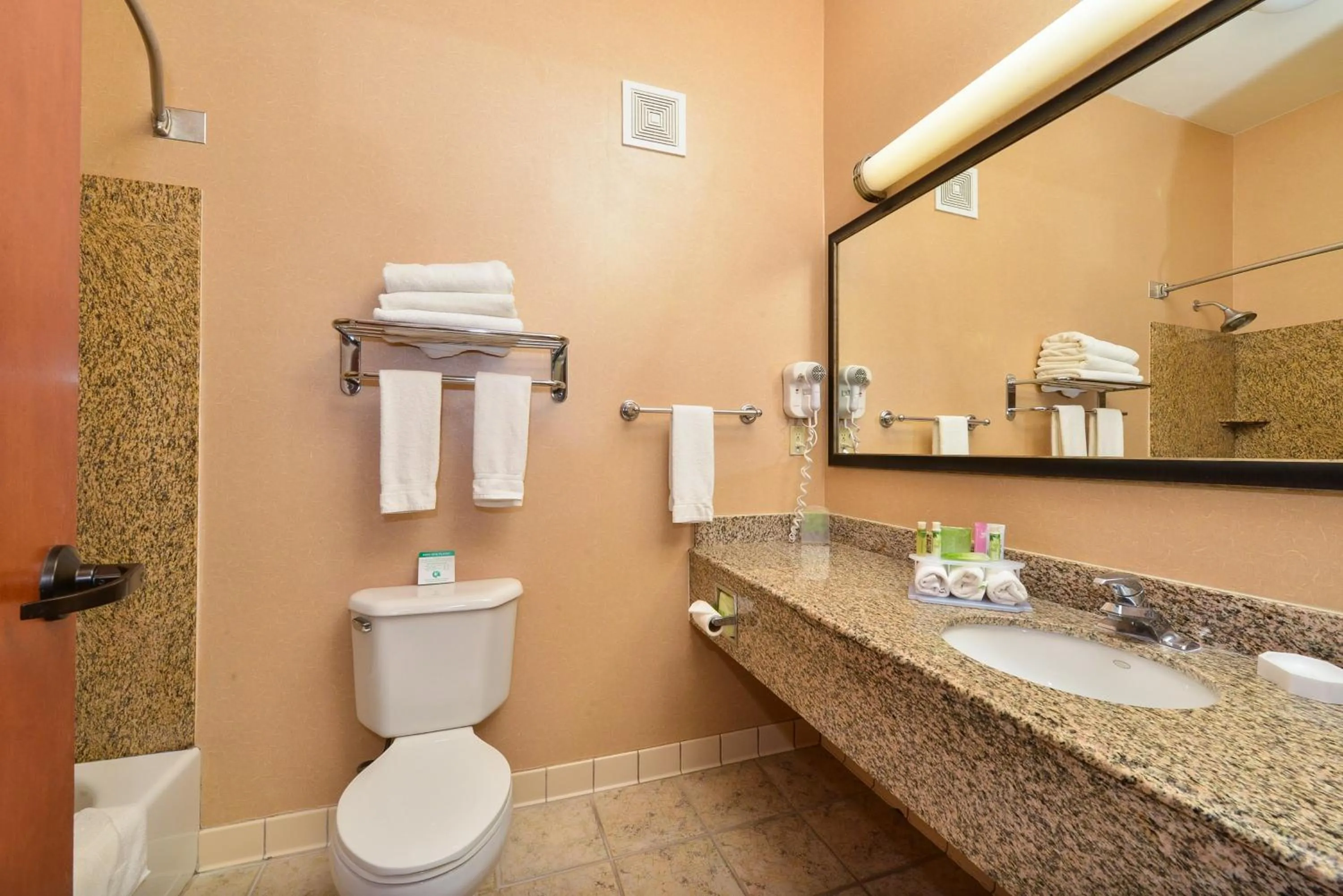 Bathroom in Holiday Inn Express Vancouver North by IHG