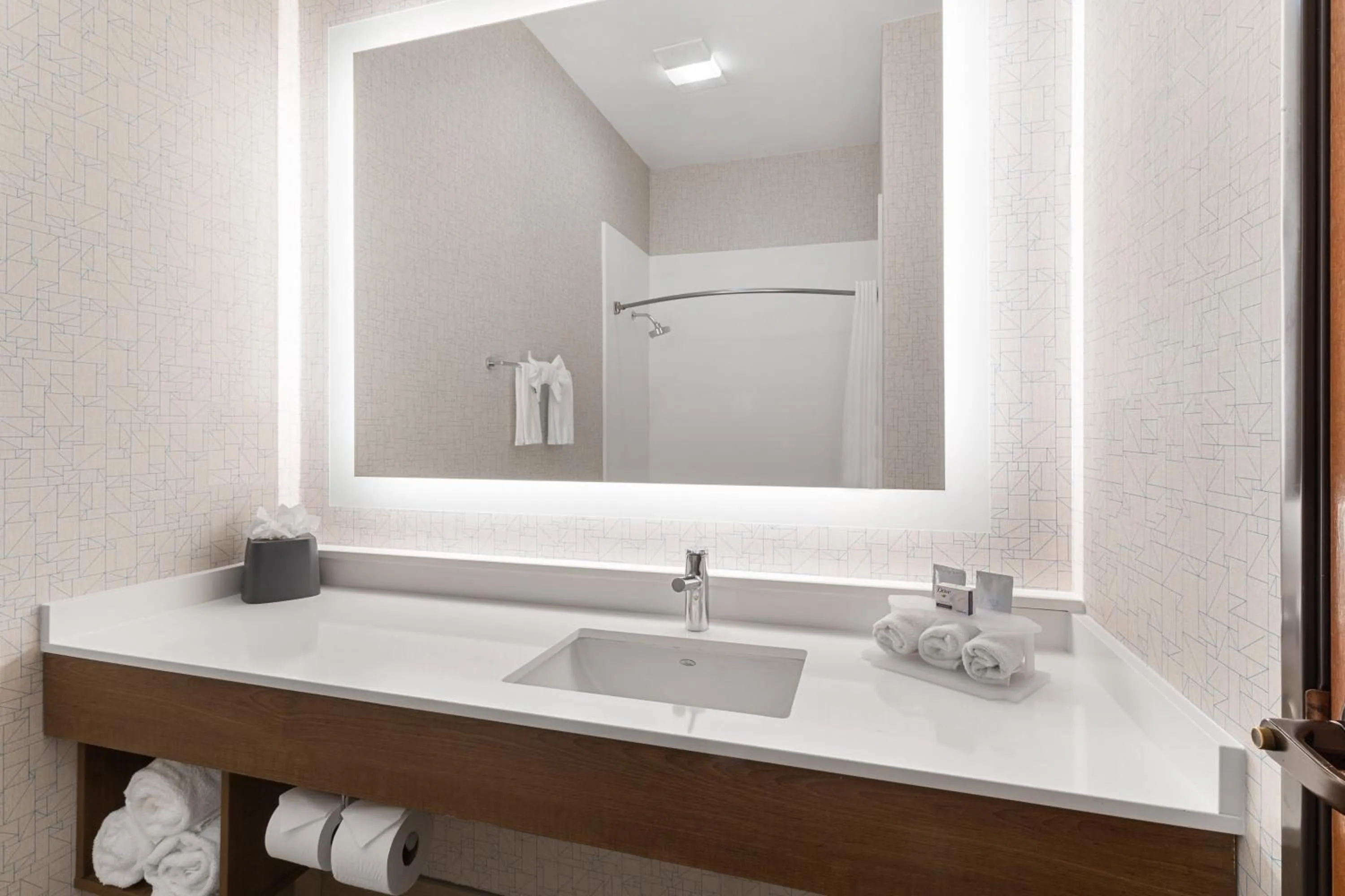 Bathroom in Holiday Inn Express Vancouver North by IHG