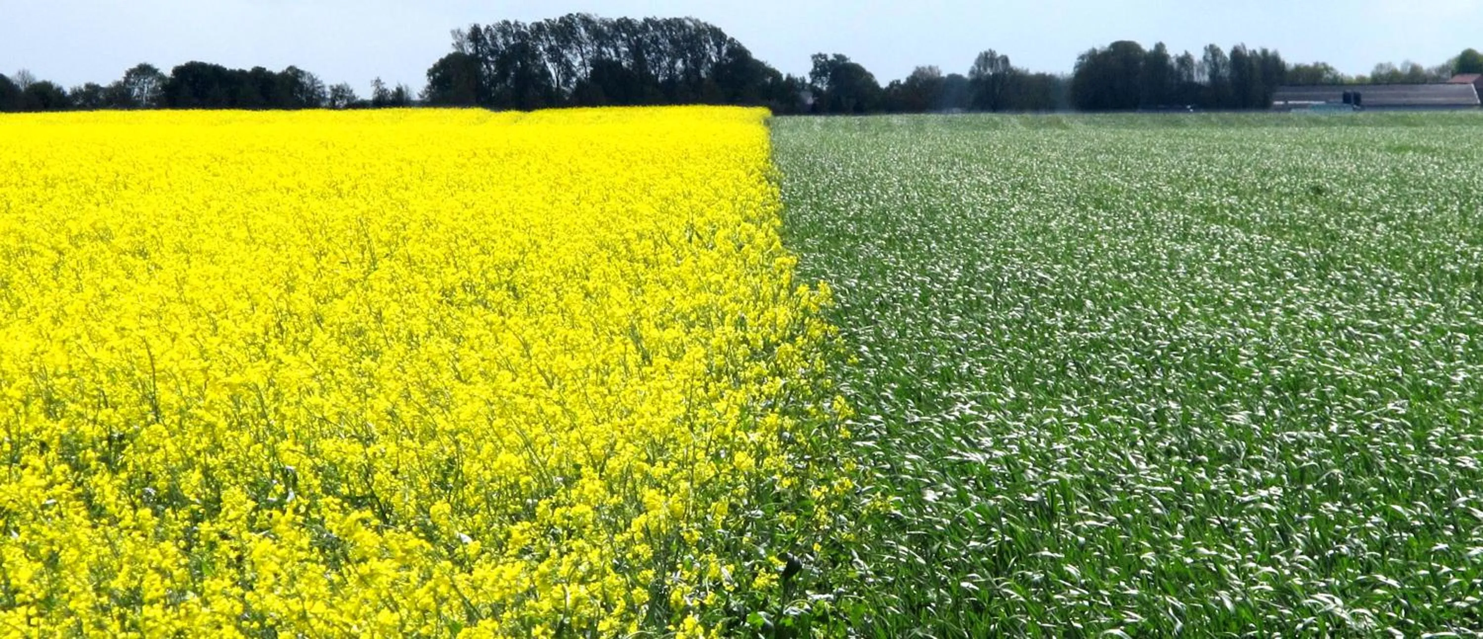 Hostel Herberg de Esborg Scheemda