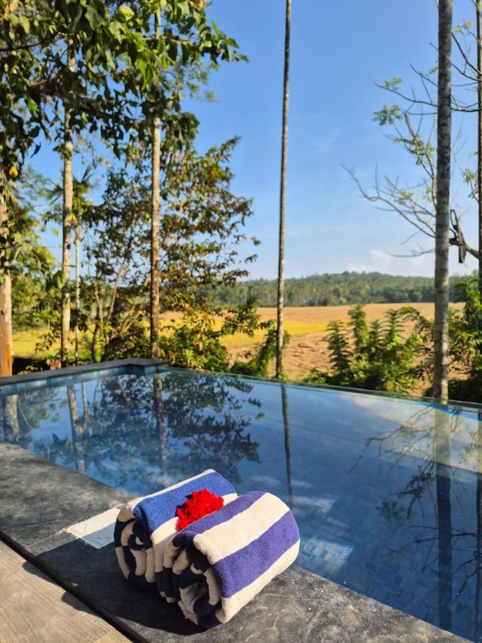 View (from property/room) in Raindrops Resorts Wayanad