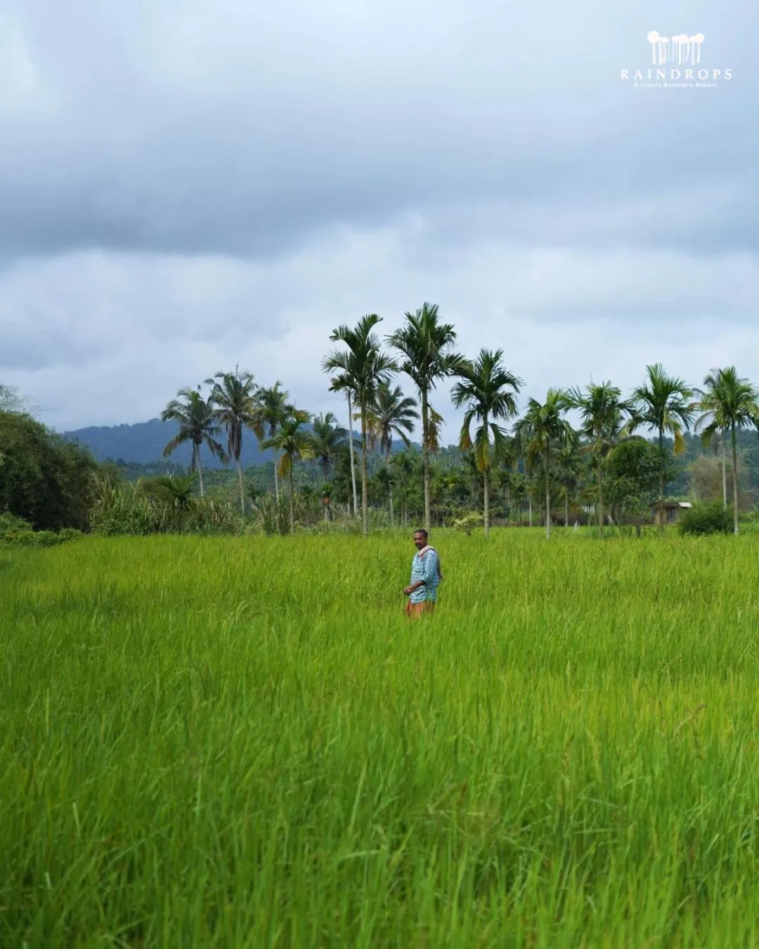 Mountain view in Raindrops Resorts Wayanad