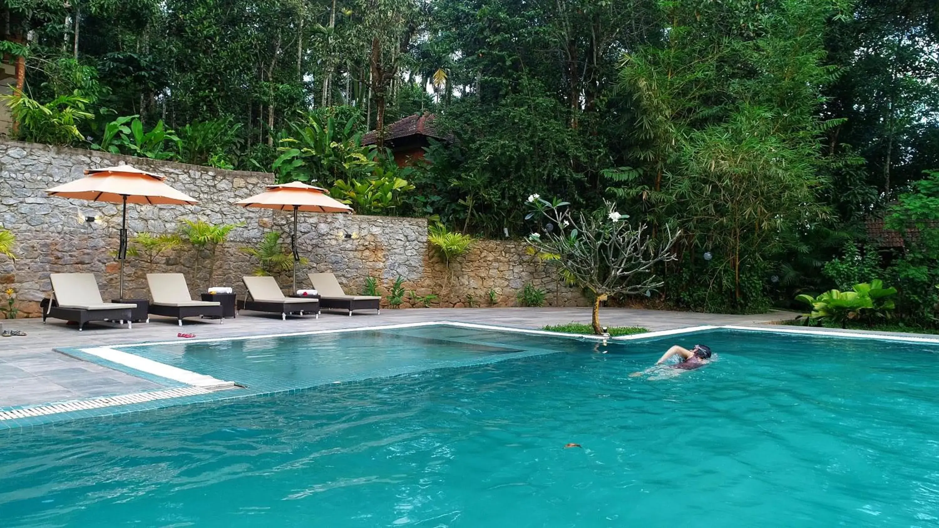 Swimming pool in Raindrops Resorts Wayanad Swimming pool in Raindrops Resorts Wayanad