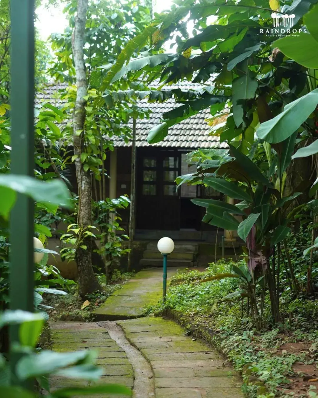 View (from property/room) in Raindrops Resorts Wayanad View (from property/room) in Raindrops Resorts Wayanad