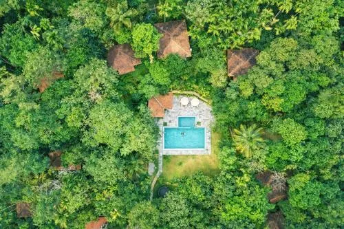 Raindrops Resorts Wayanad