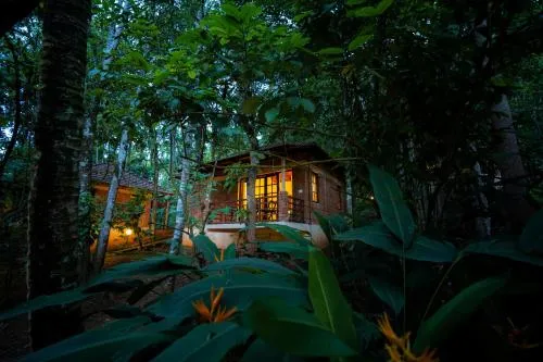 Raindrops Resorts Wayanad