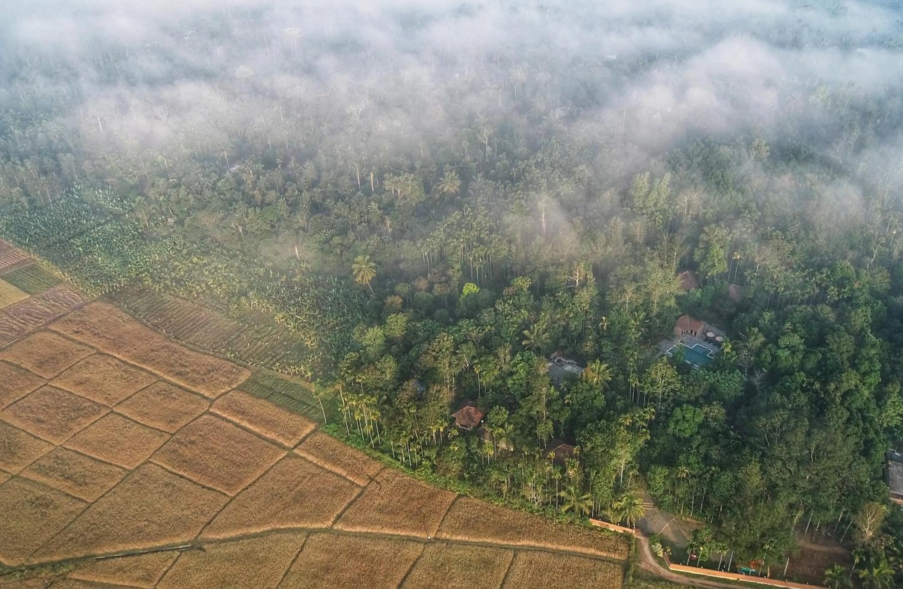 View (from property/room) in Raindrops Resorts Wayanad