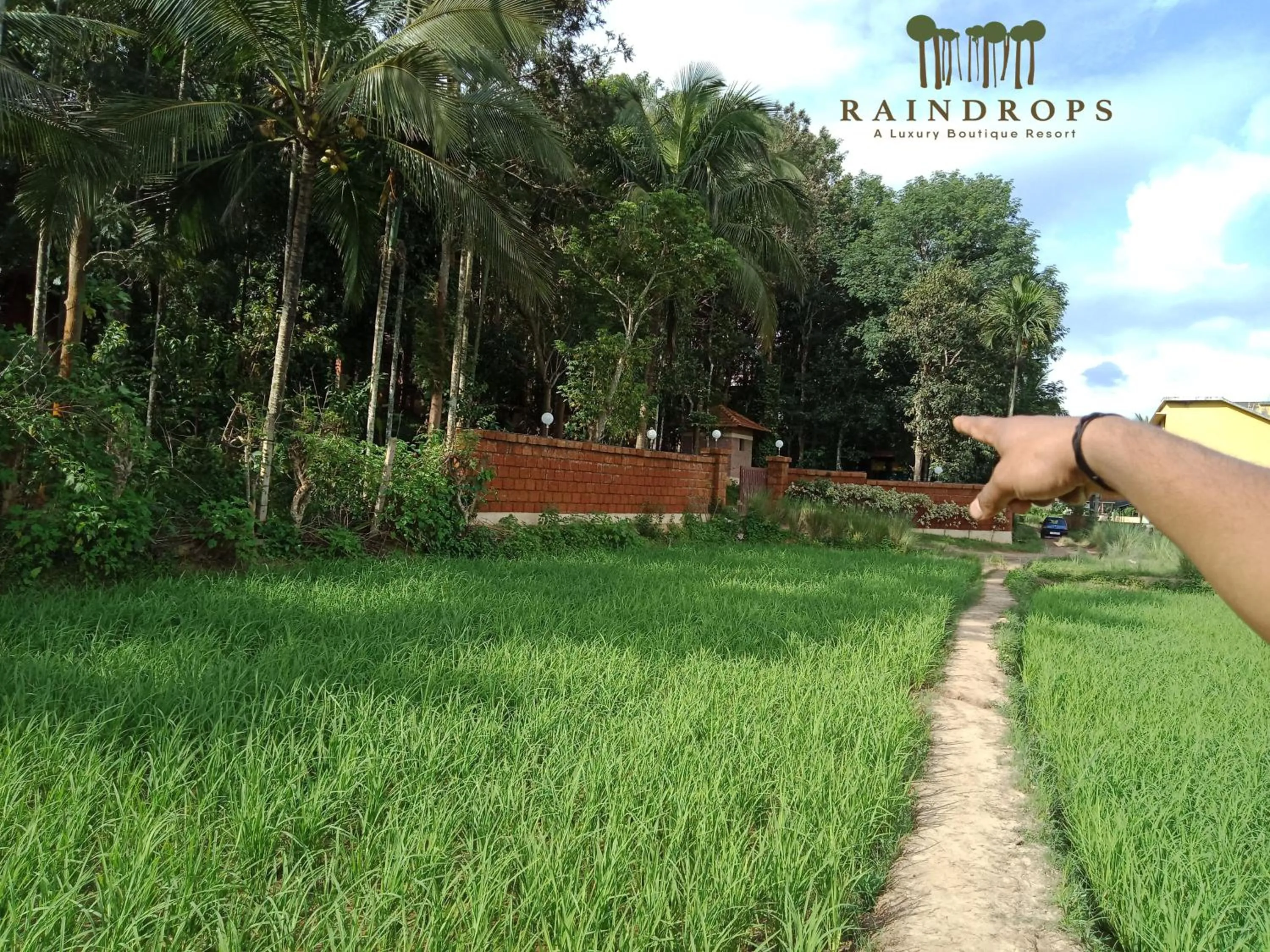 View (from property/room) in Raindrops Resorts Wayanad