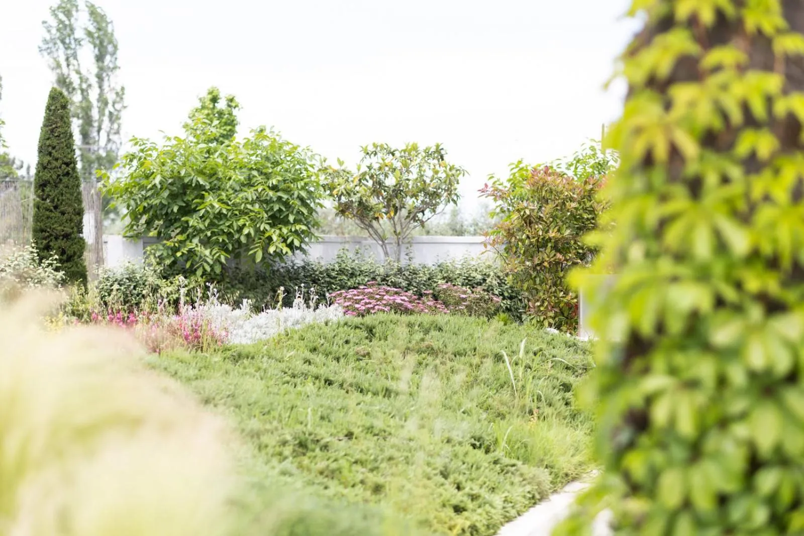 Garden in Mythic Summer Hotel