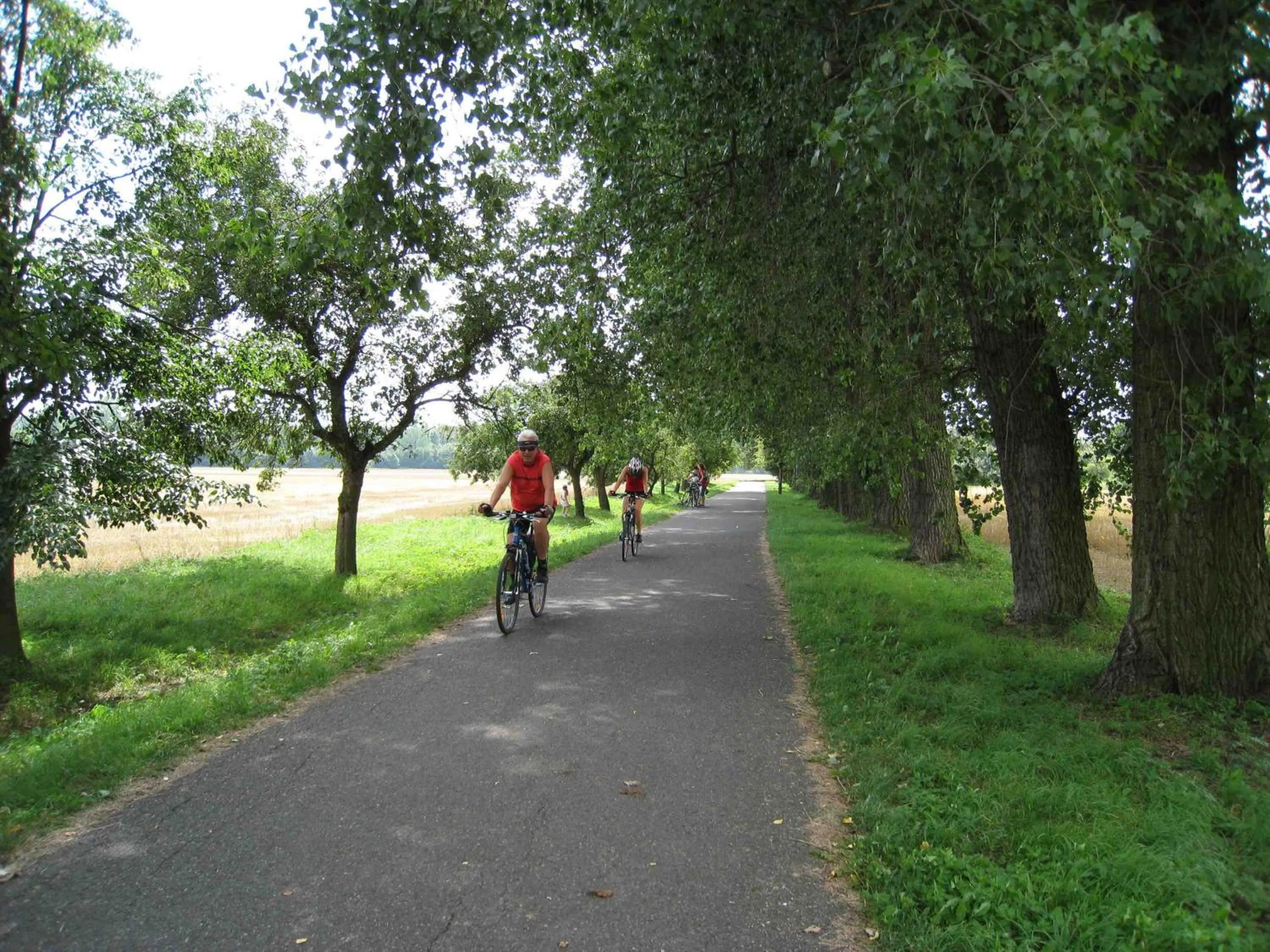 Area and facilities in Lazensky Hotel Park