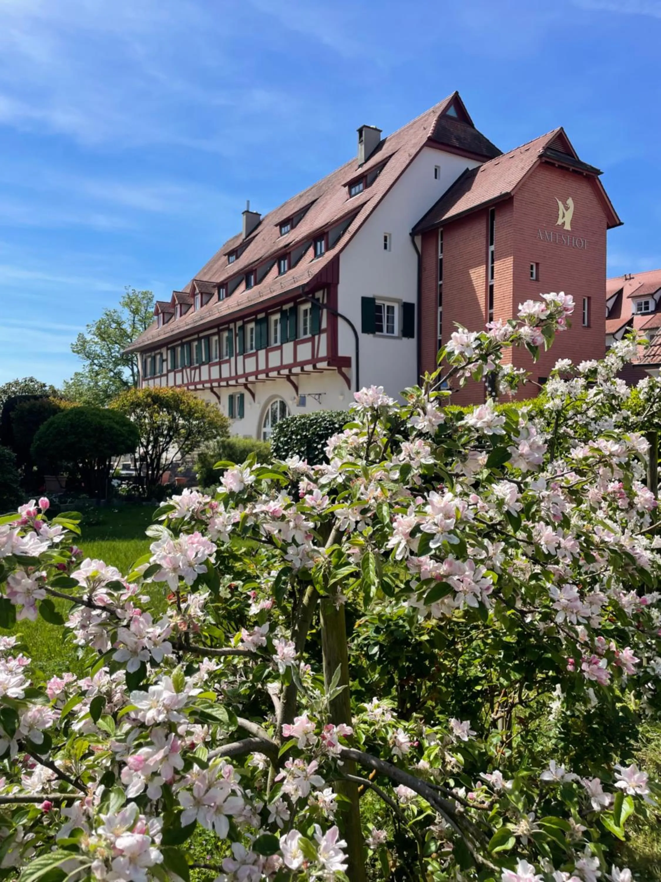 Property building in SeeHotel Amtshof