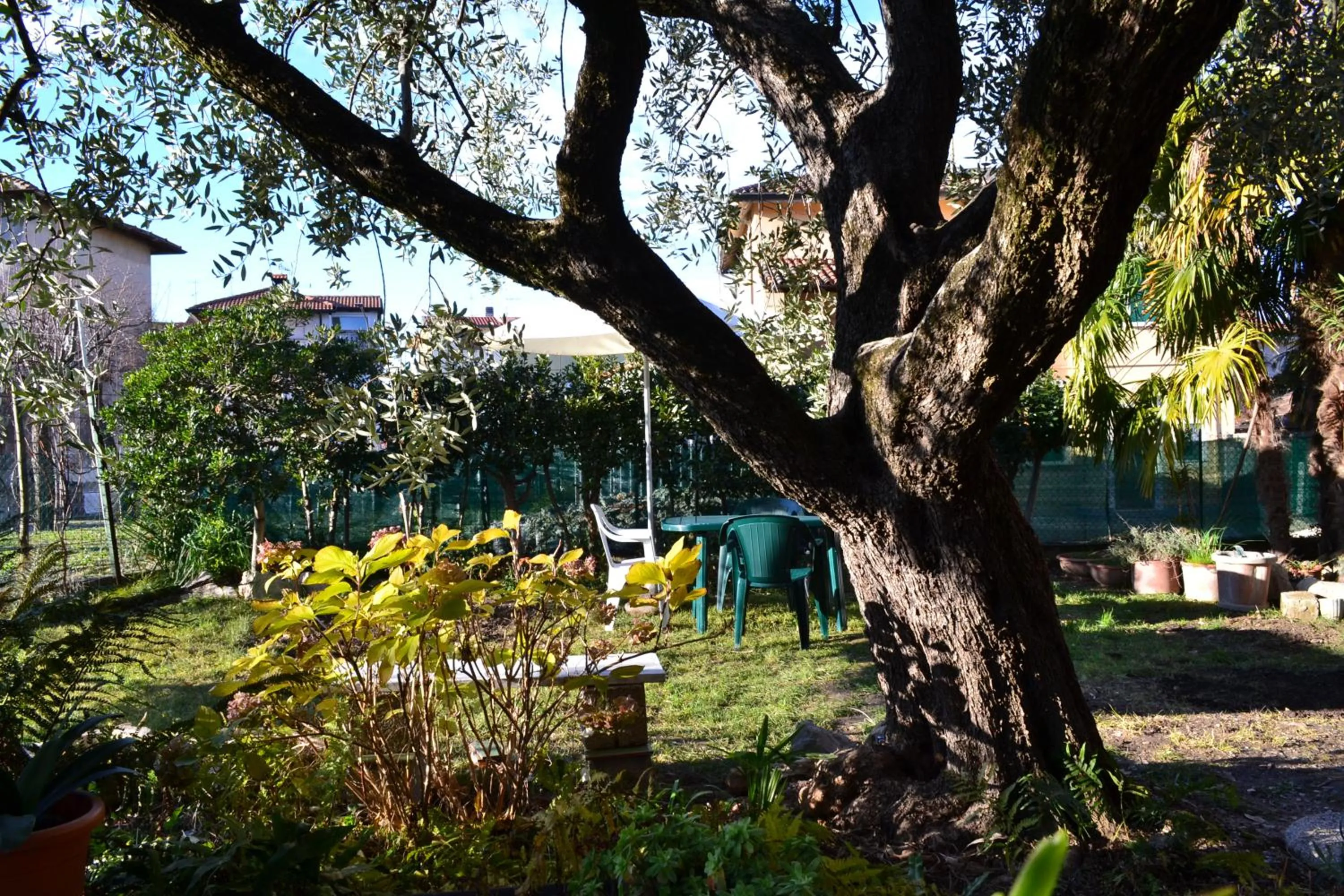 Activities in B&B Casa Mia