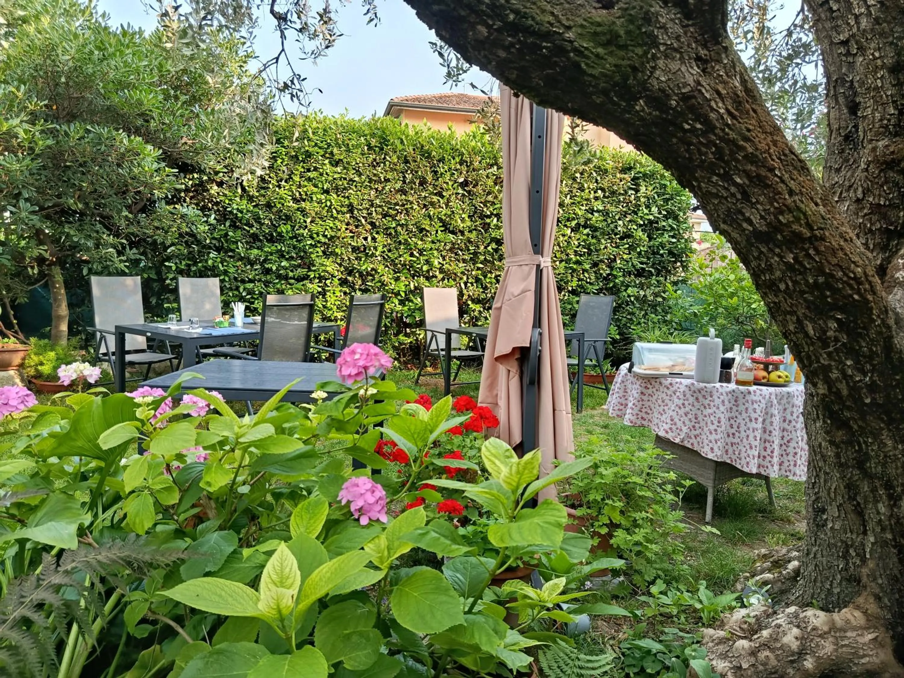 Summer in B&B Casa Mia
