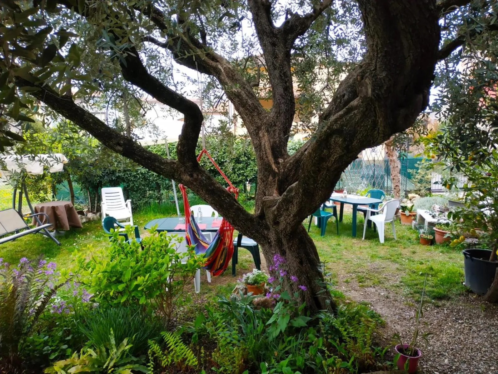 Garden in B&B Casa Mia