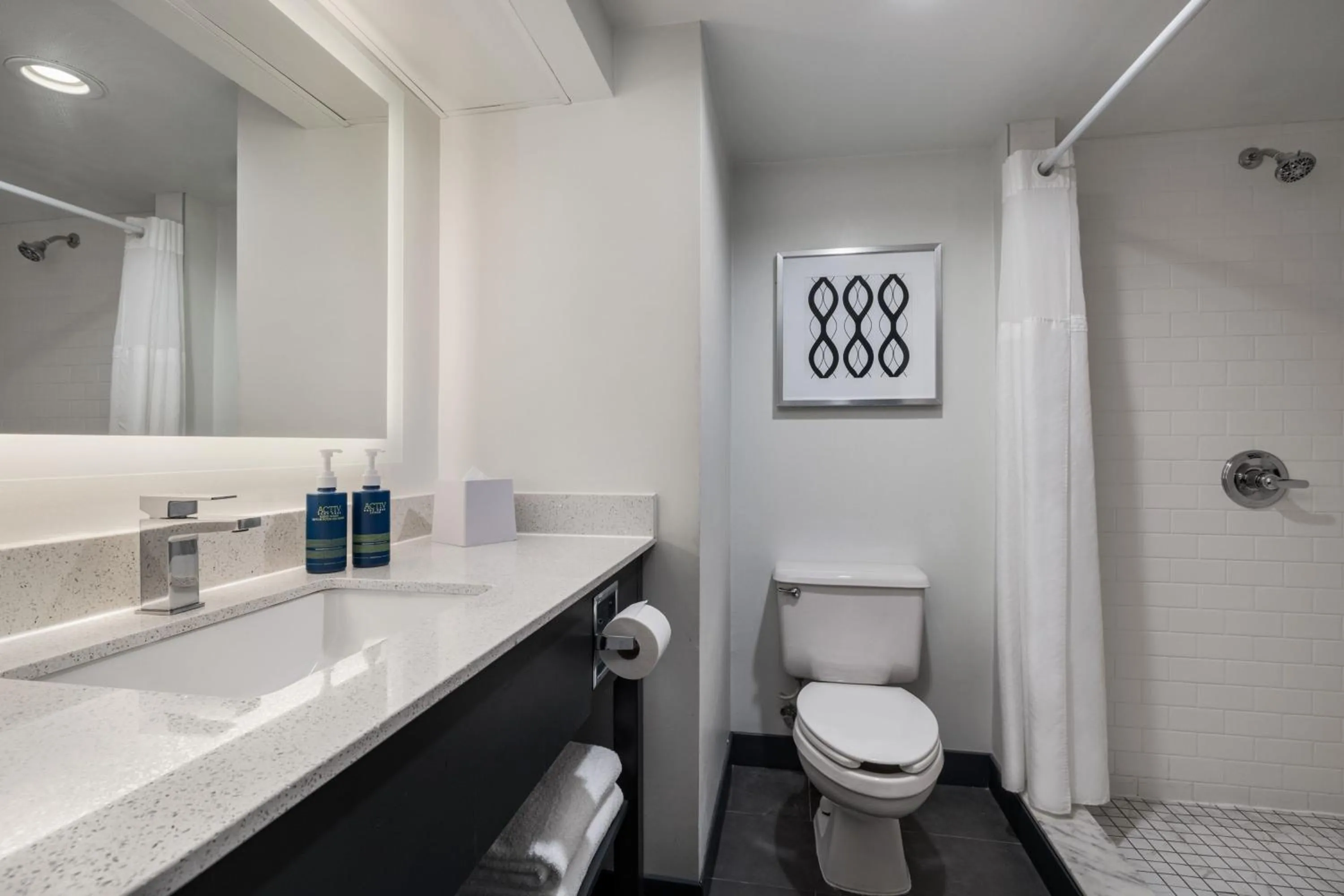 Bathroom in Four Points by Sheraton Greensboro Airport