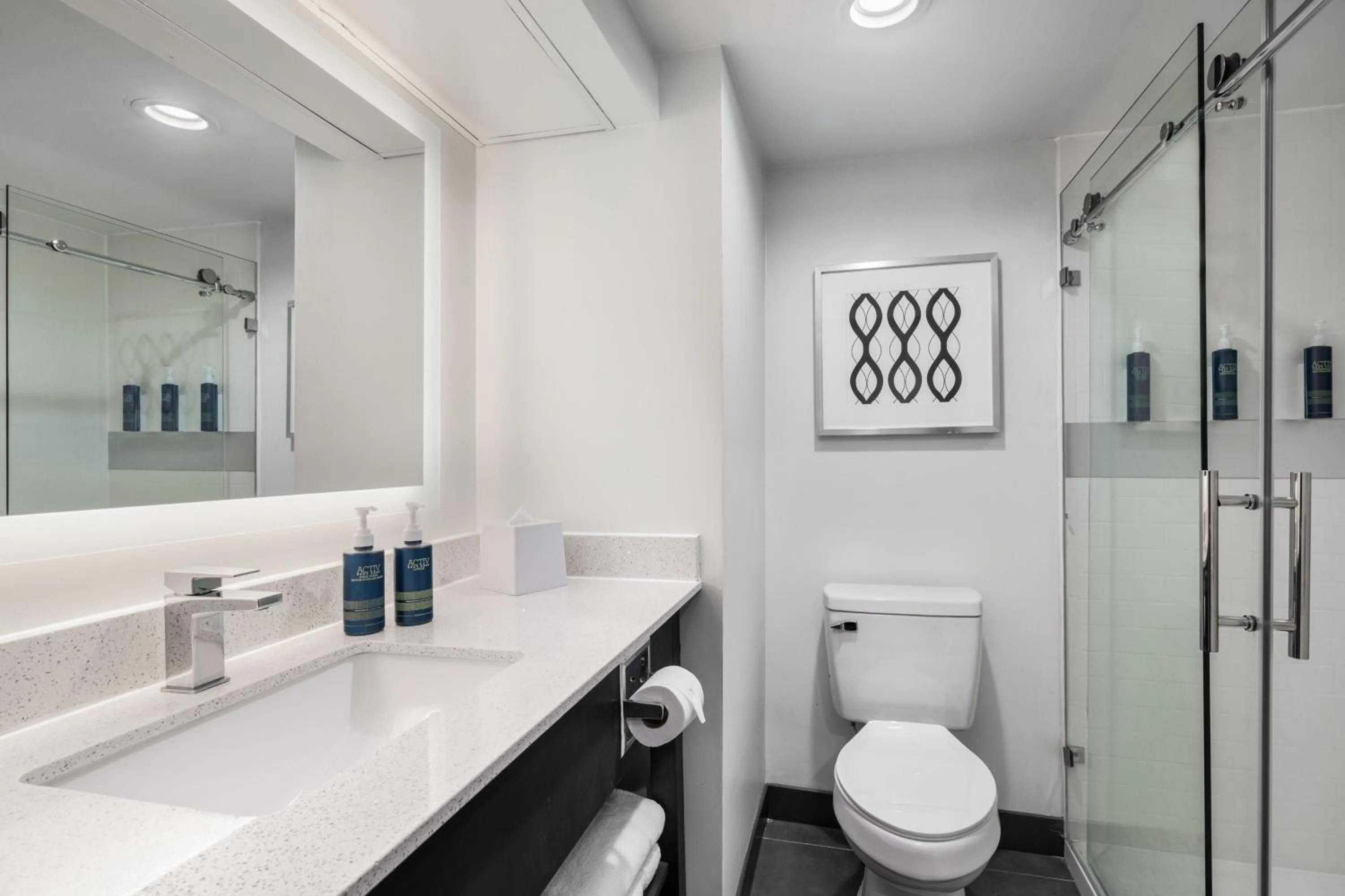 Bathroom in Four Points by Sheraton Greensboro Airport