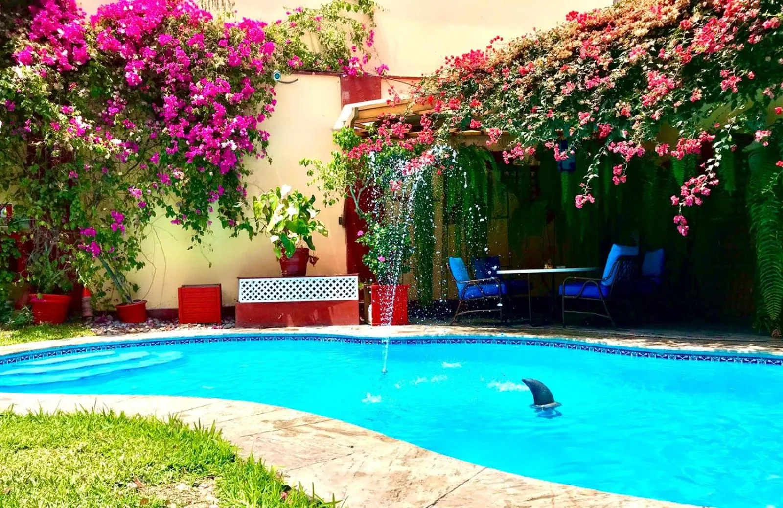 Swimming pool in Peru Star Apart-Hotel