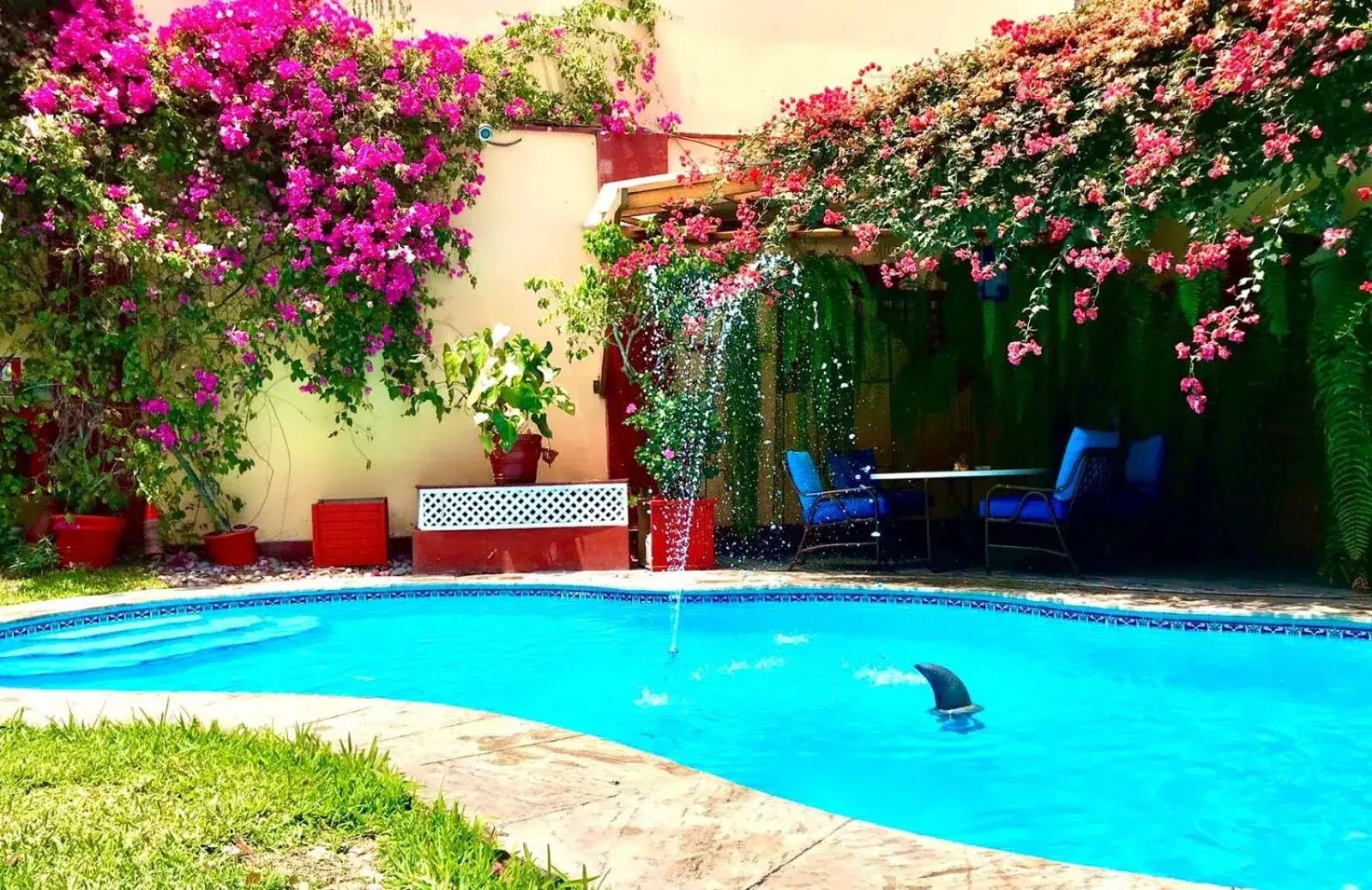 Swimming pool in Peru Star Apart-Hotel Swimming pool in Peru Star Apart-Hotel