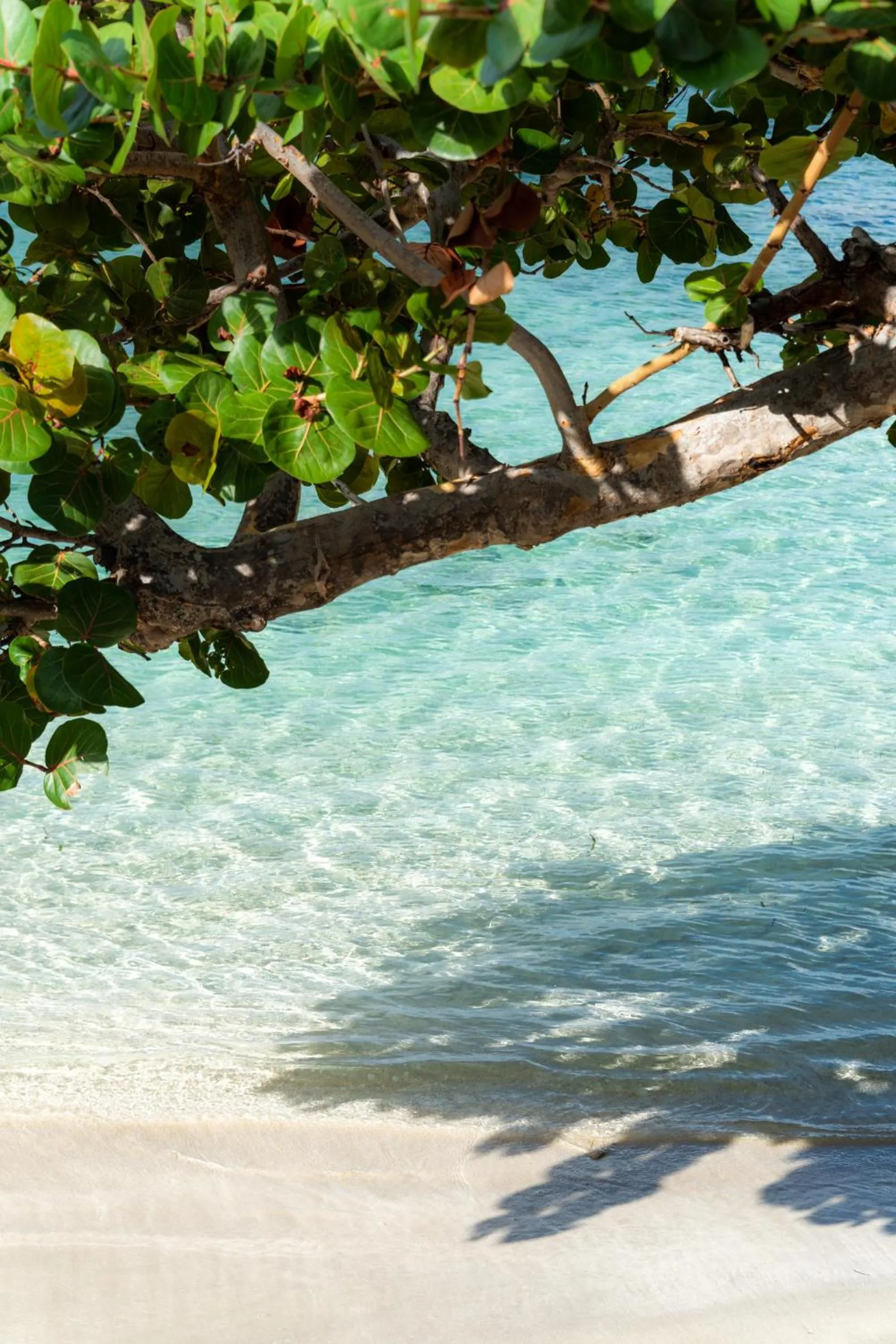 Beach in Grand Case Beach Club