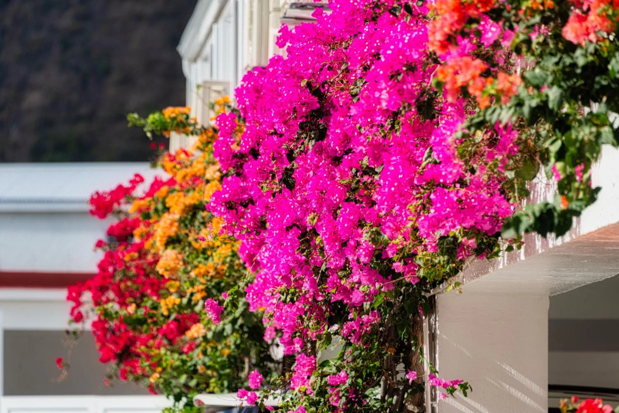 Facade/entrance in Grand Case Beach Club