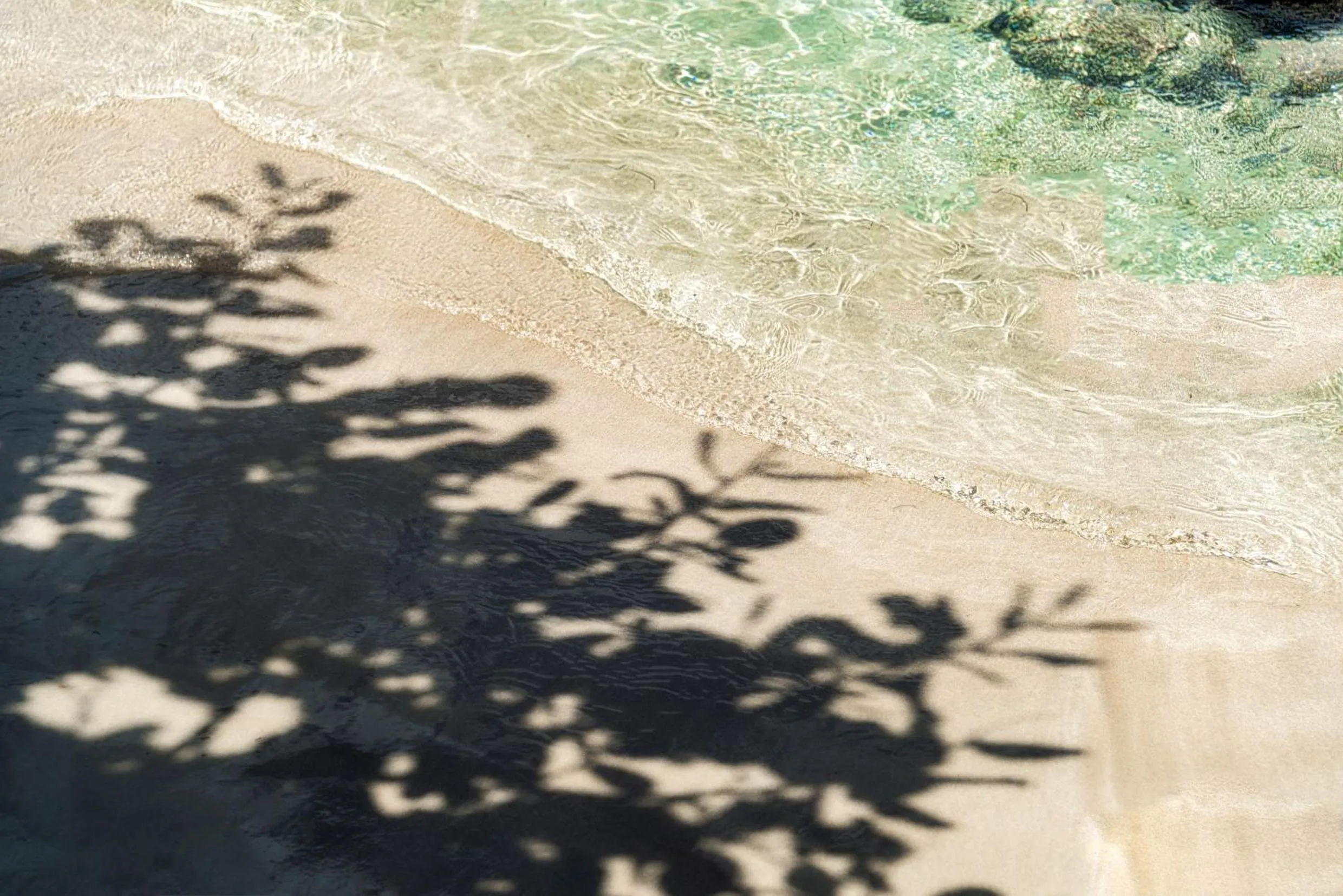 Beach in Grand Case Beach Club