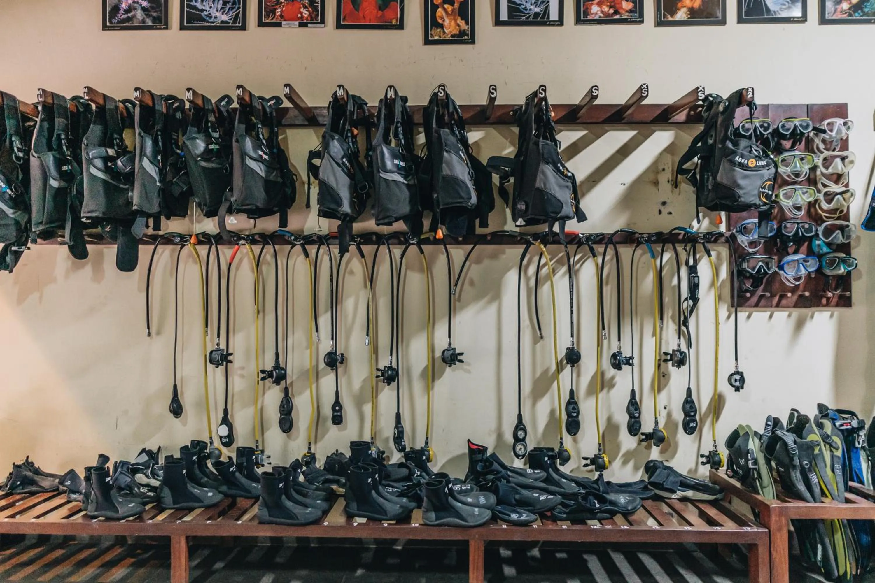 Diving in Ocean View Tulamben Dive & Resort